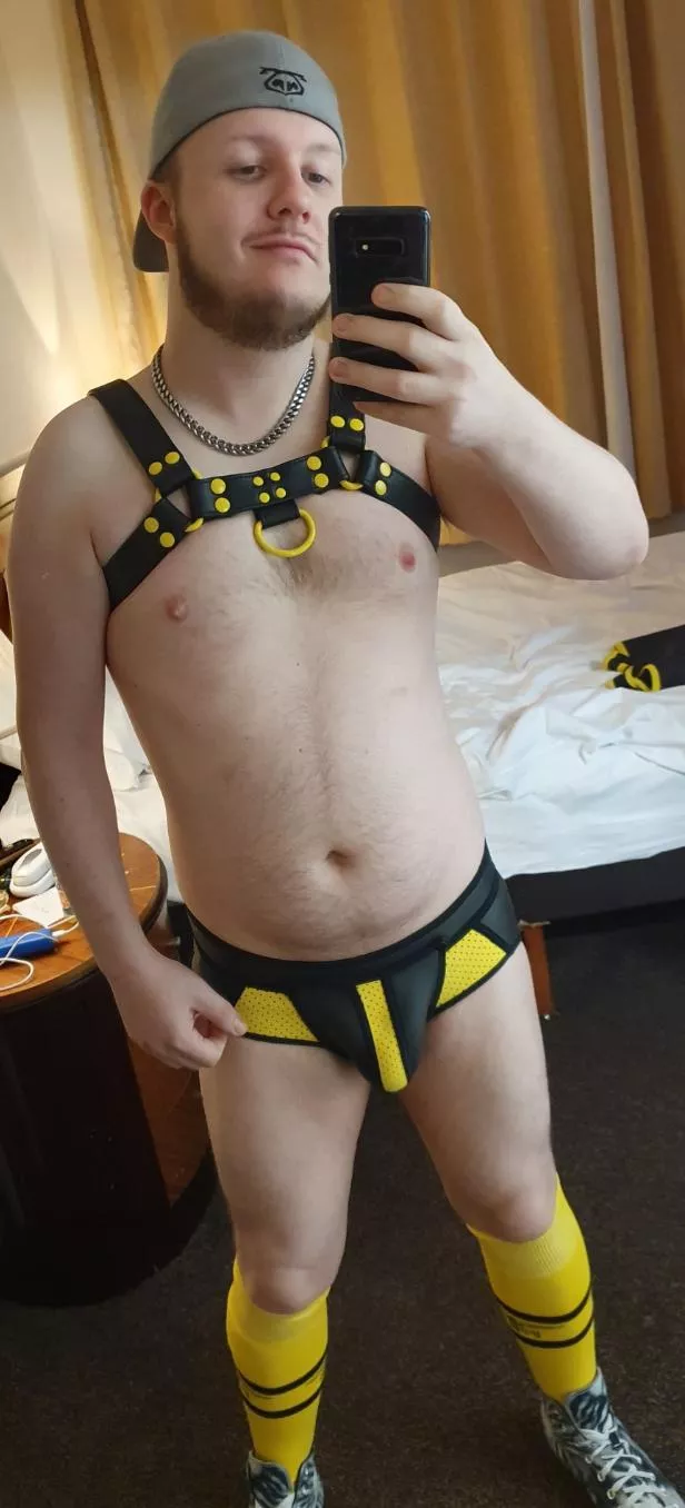 Hey everyone! young kinky cub here saying hi posted by wezzie87