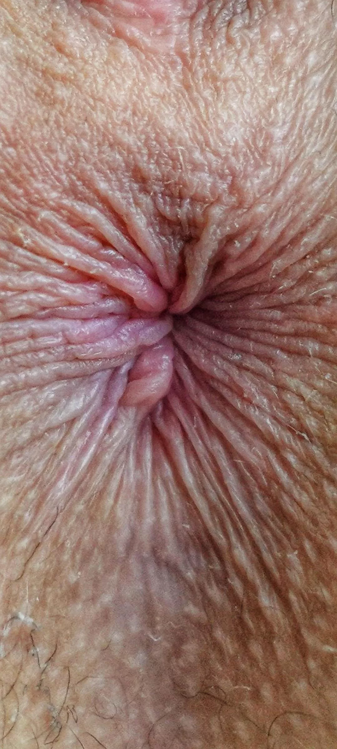 hey guys I have a wallpaper for you on the phone - my sweet and tight anus - you can lick it and always have it with you - it's already itchy ... Put a hard cock in my ass! posted by Spinel007