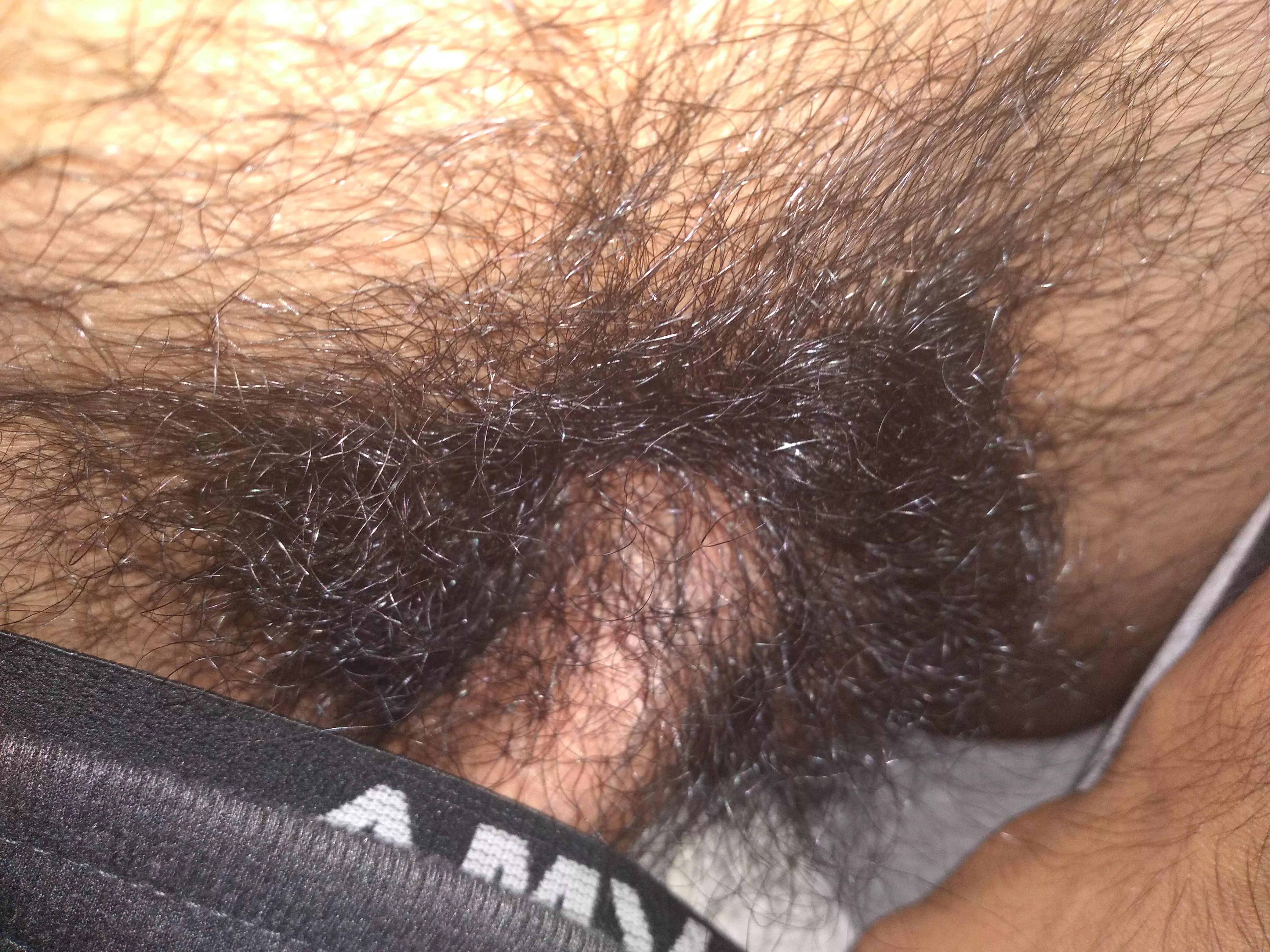 Hey PMs open for other hairy guys posted by Lucky-Aerie4