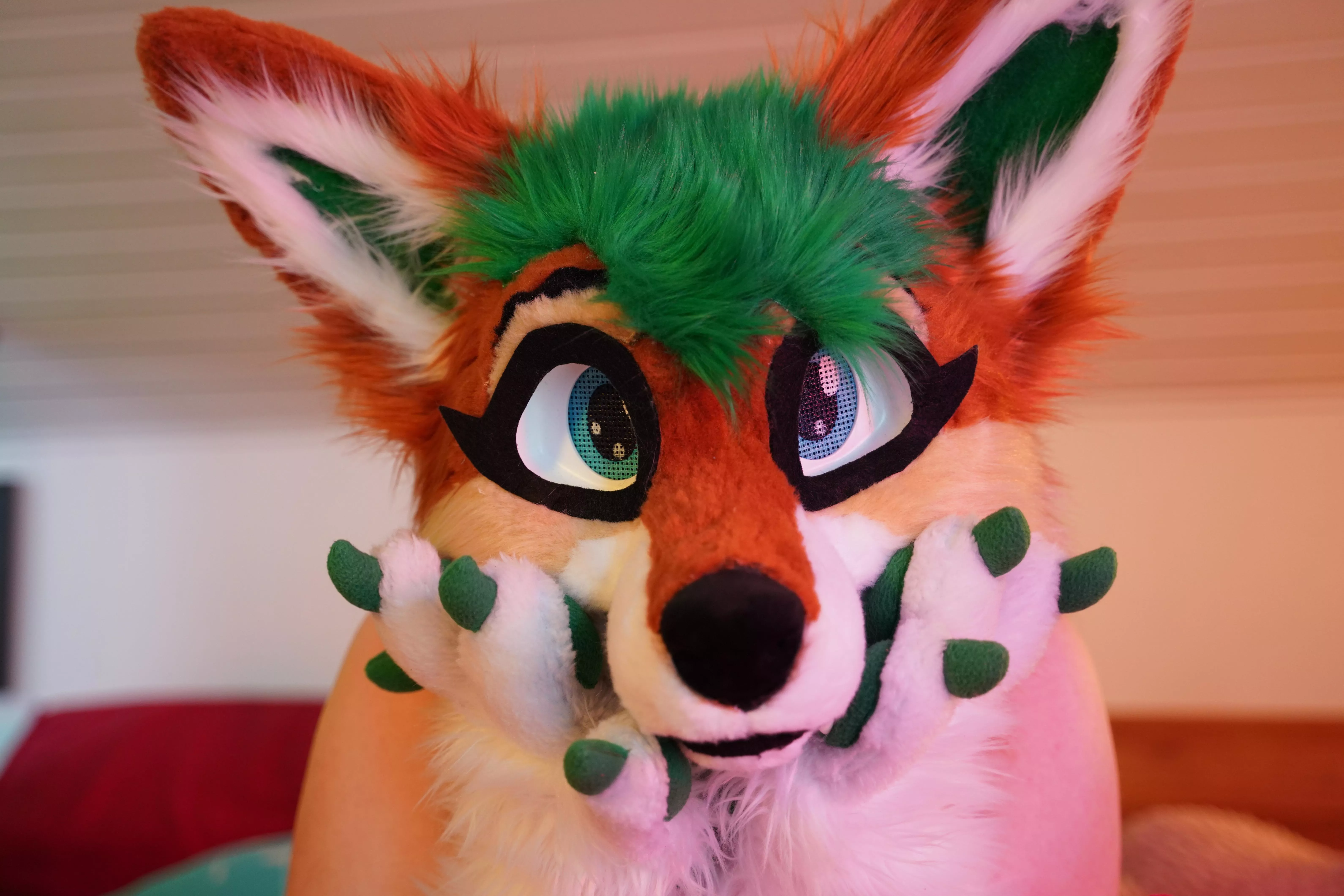 Hi, i'm absolutely new here on reddit and want to make some friends. My name is furry_foxxy and i'm a live streamer posted by FurryFoxxyStream