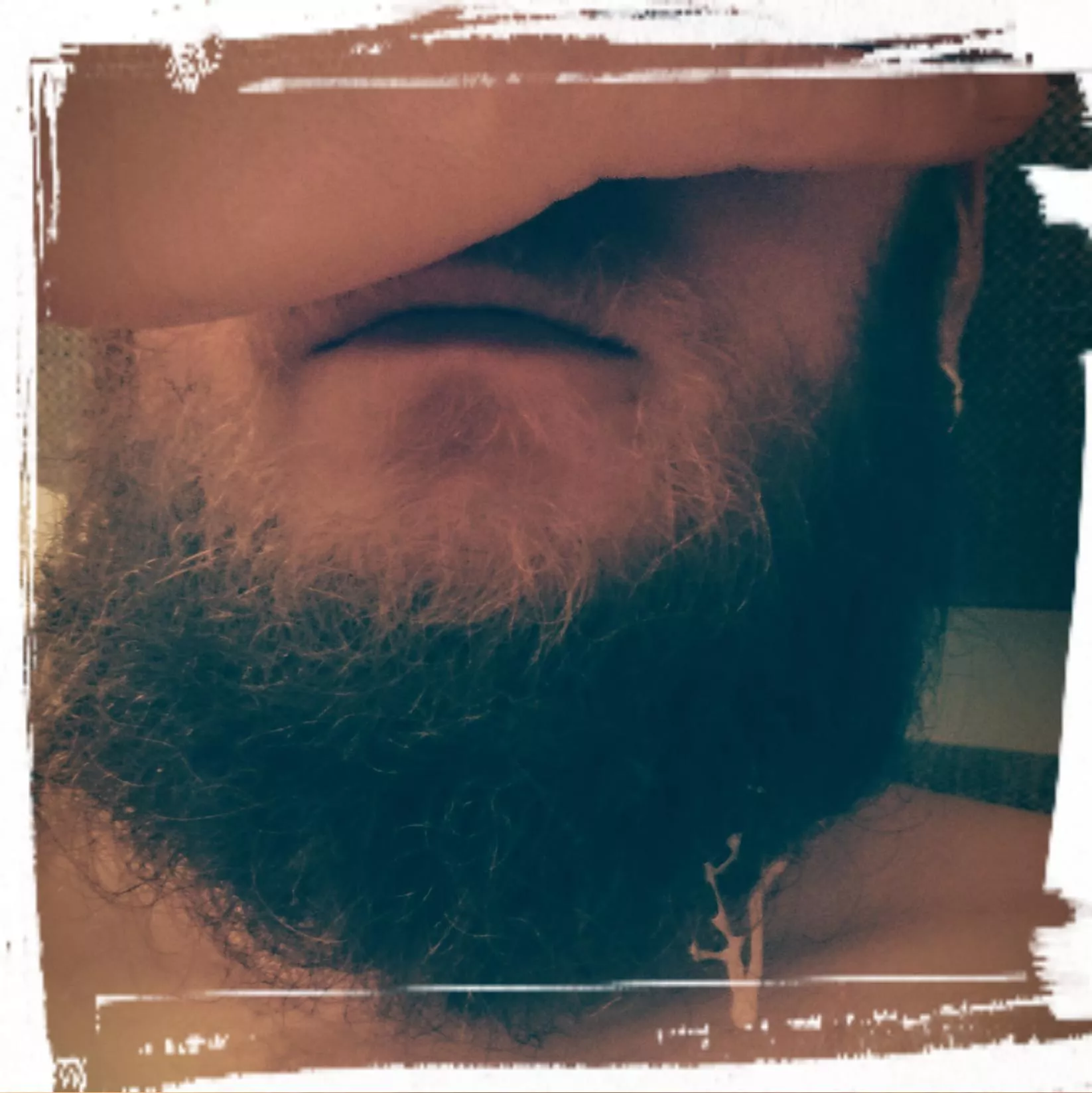 Hit my beard! posted by theBallstretcher