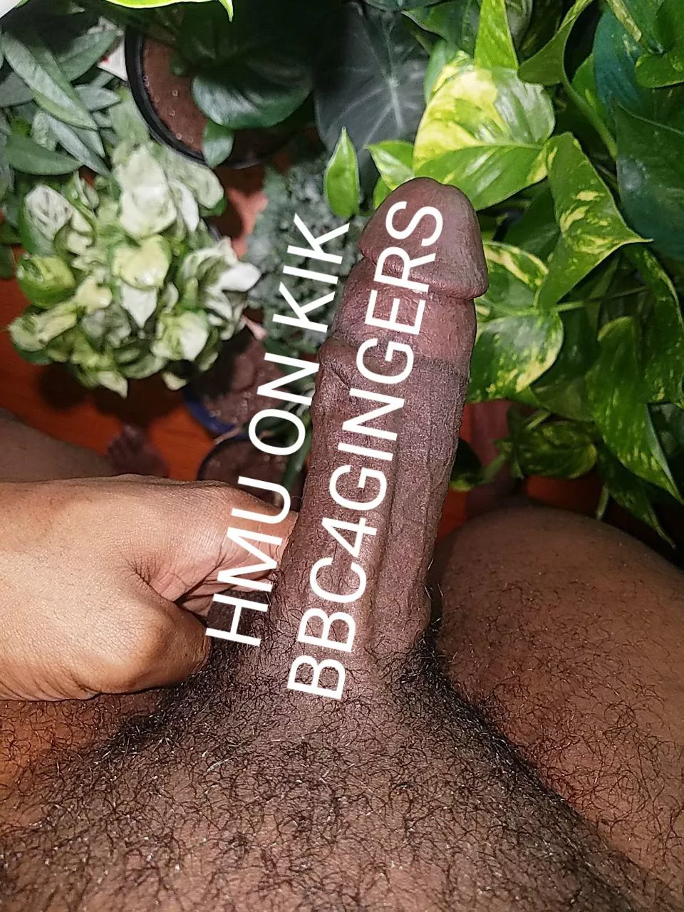 HMU Hairy Ass Sissies 😍 posted by Fuzzyumpkins