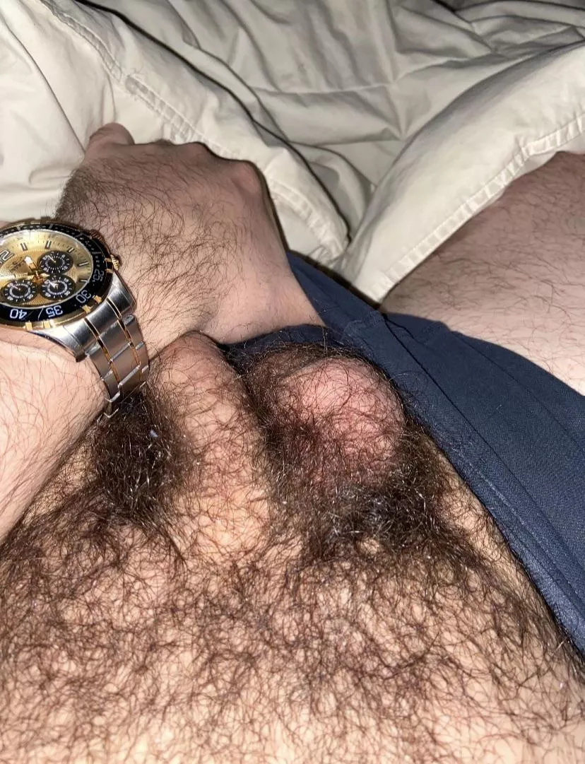 Hmu if your’e into hairy bears. Kik rrzz1233 posted by gaynhairy123