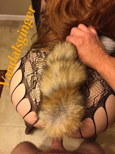 Hold that tail😈😘💦 posted by vandalsginger