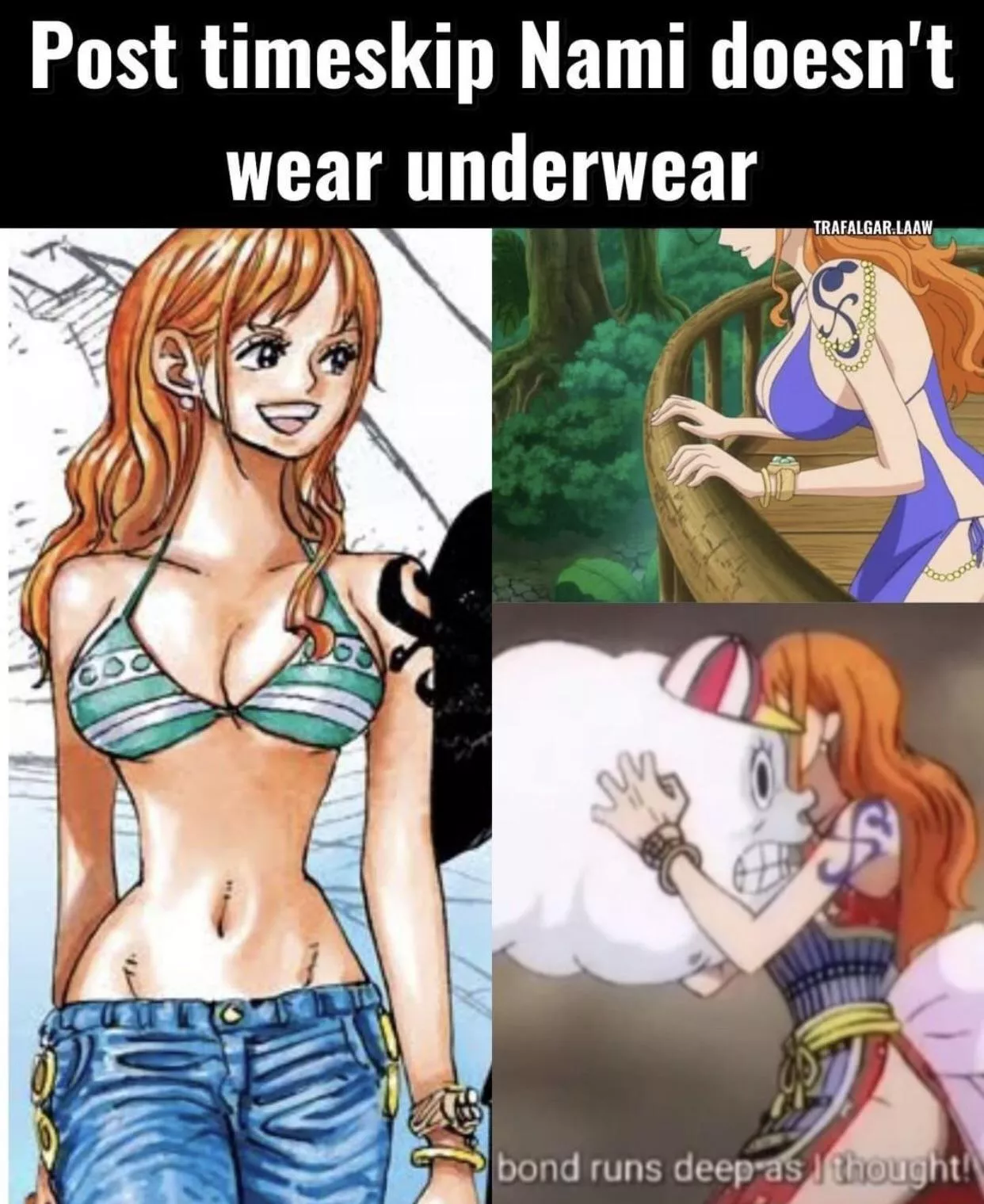 Holy shit this puts nami in a whole different light I knew she was slutty but damn posted by Isabellamercedfan