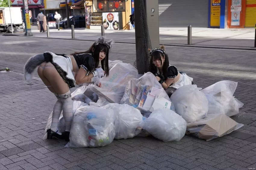 Homeless cats in Tokyo posted by WolfendedS