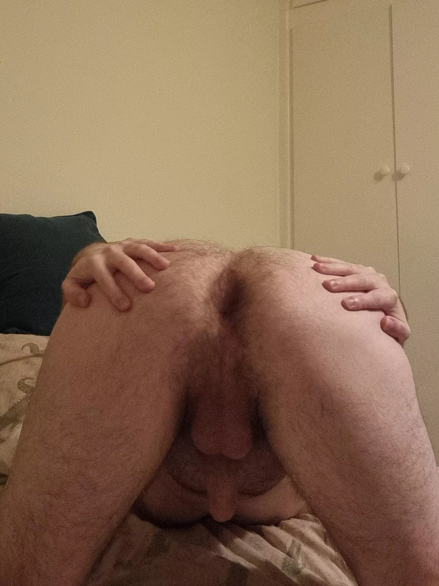 Hope y'all like my furry hole posted by OwlbearPrivate