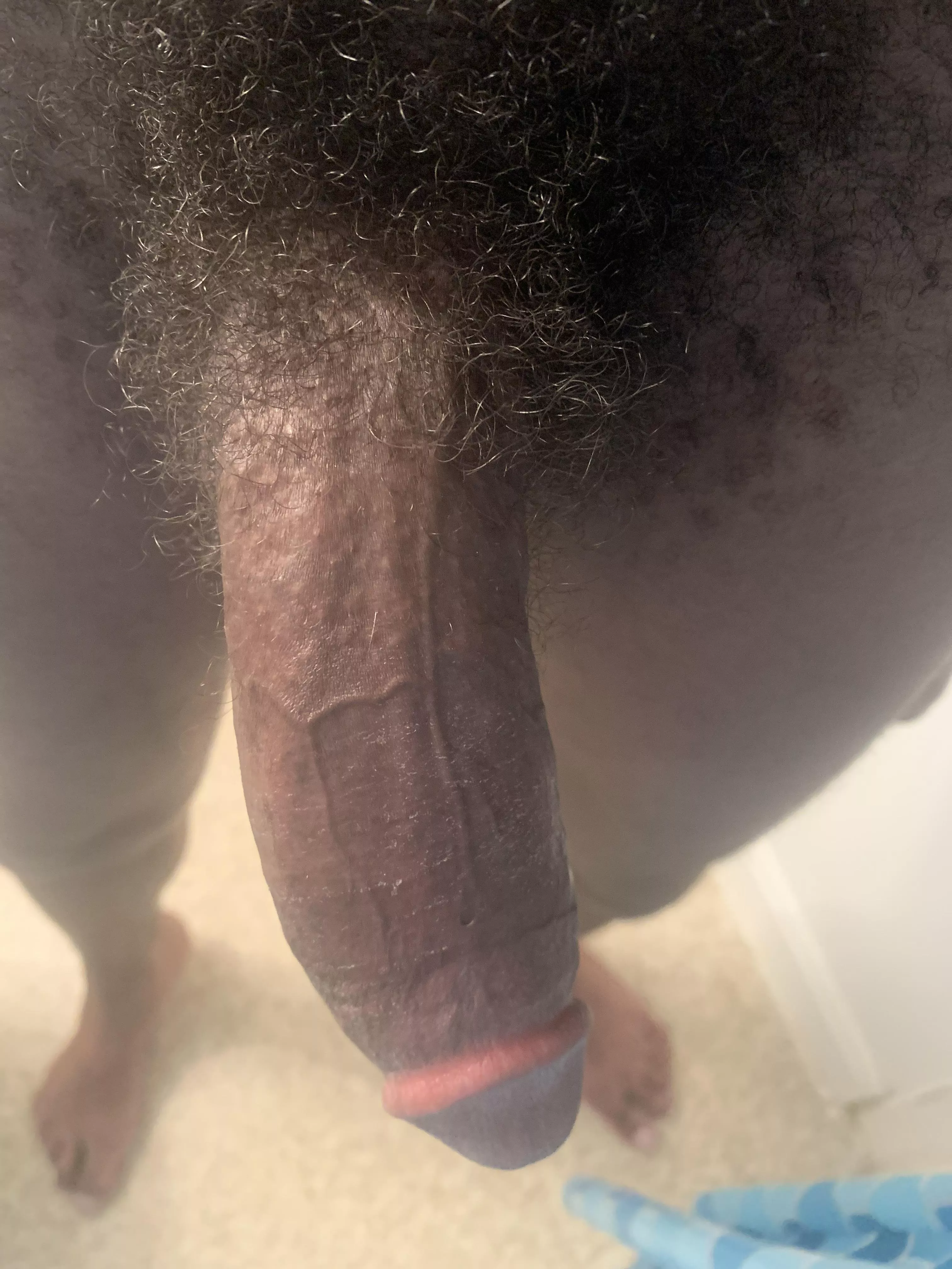 Hope you don’t mind a bushy cock ;) posted by Eragonkin69