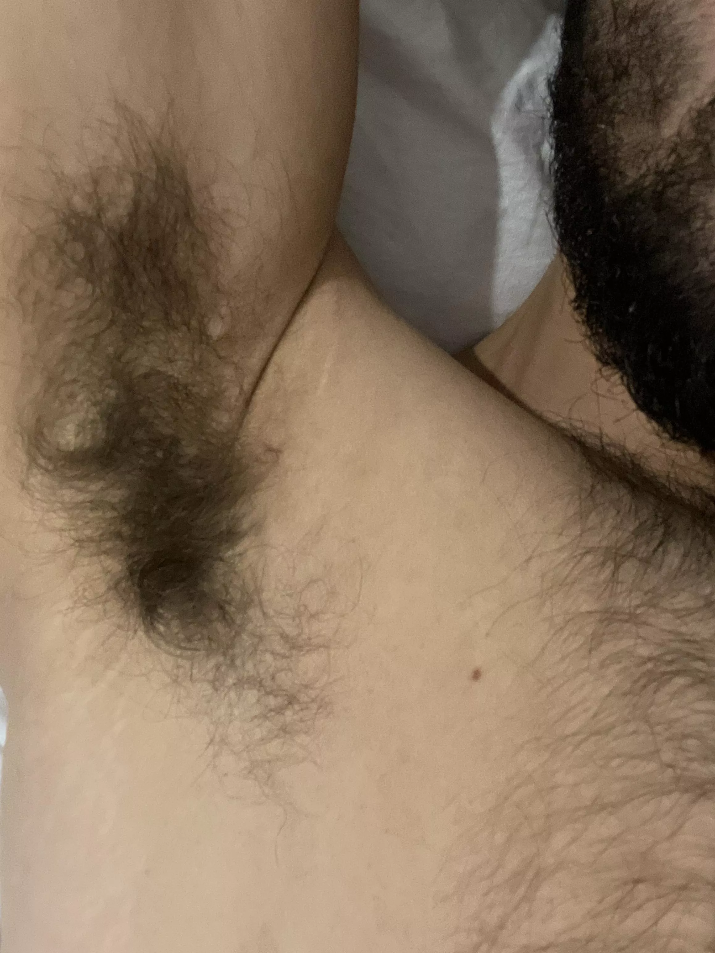 Hope you like them hairy posted by Ecstatic-Switch