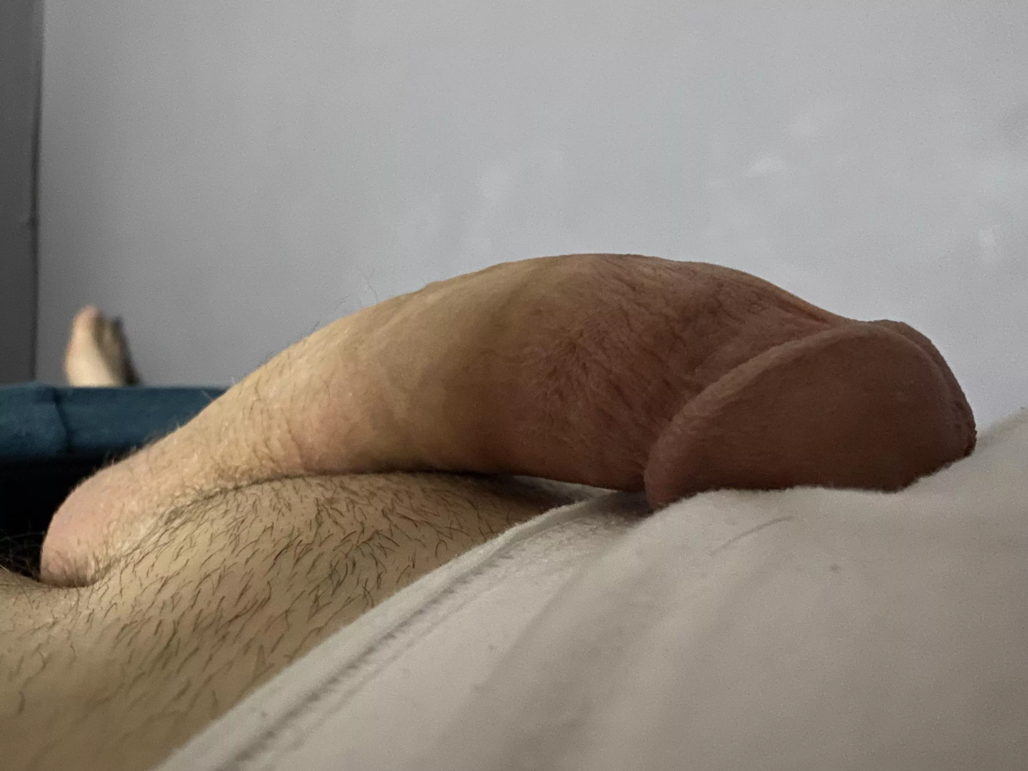 Horny Friday, this cock need some attention 😏🤤 posted by Subject-Morning-9051