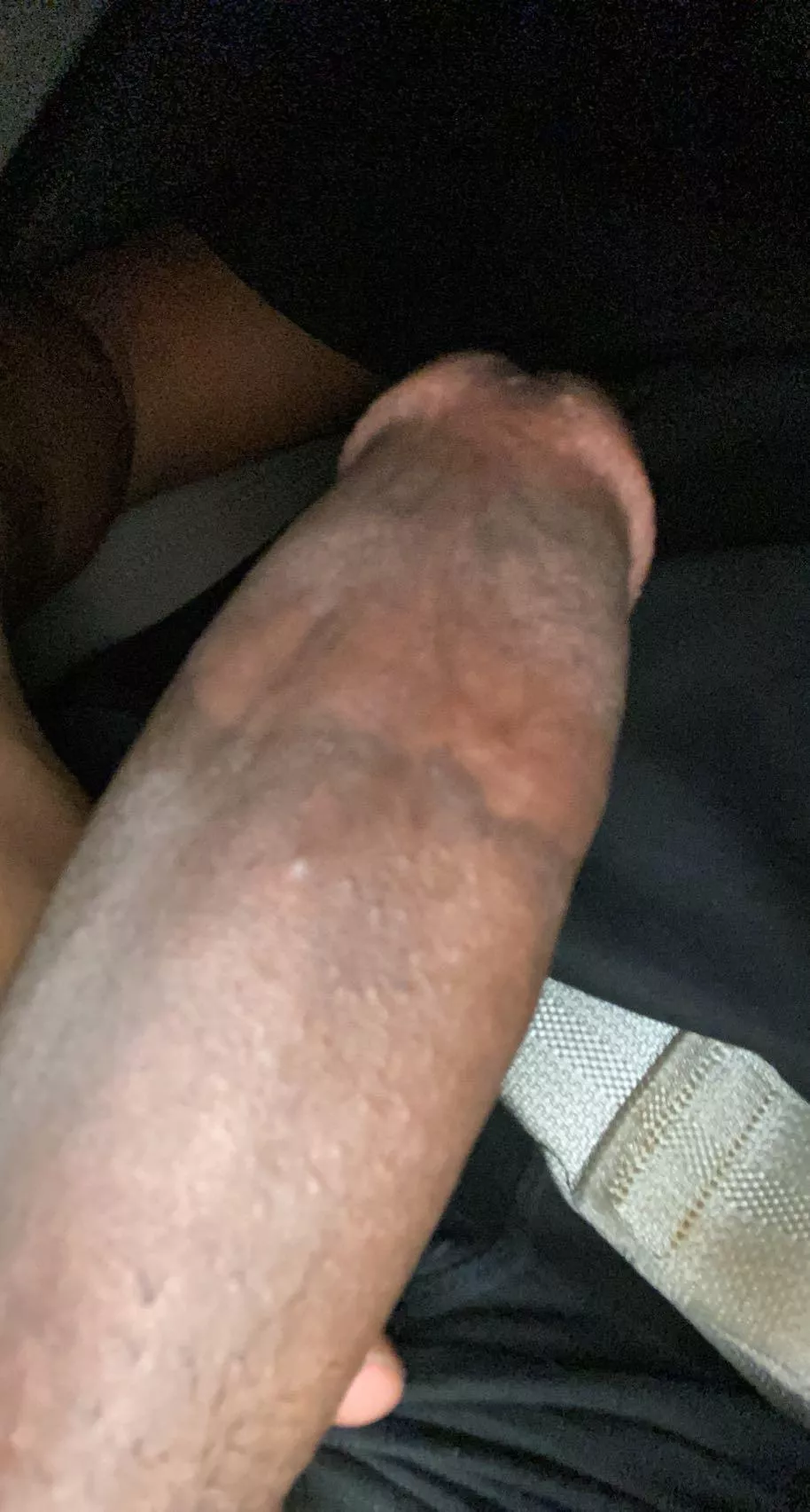 Horny trip🥵 posted by Metab53