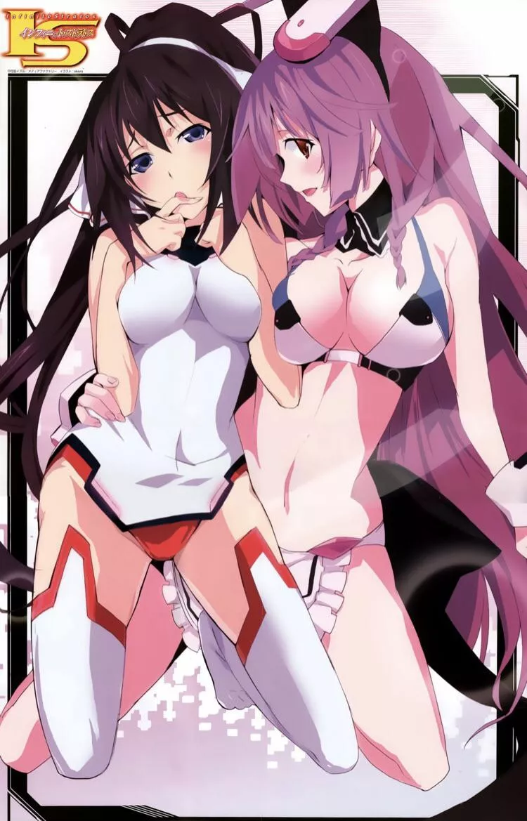 Houki & Tabane (infinite stratos) posted by Southern-Range7363