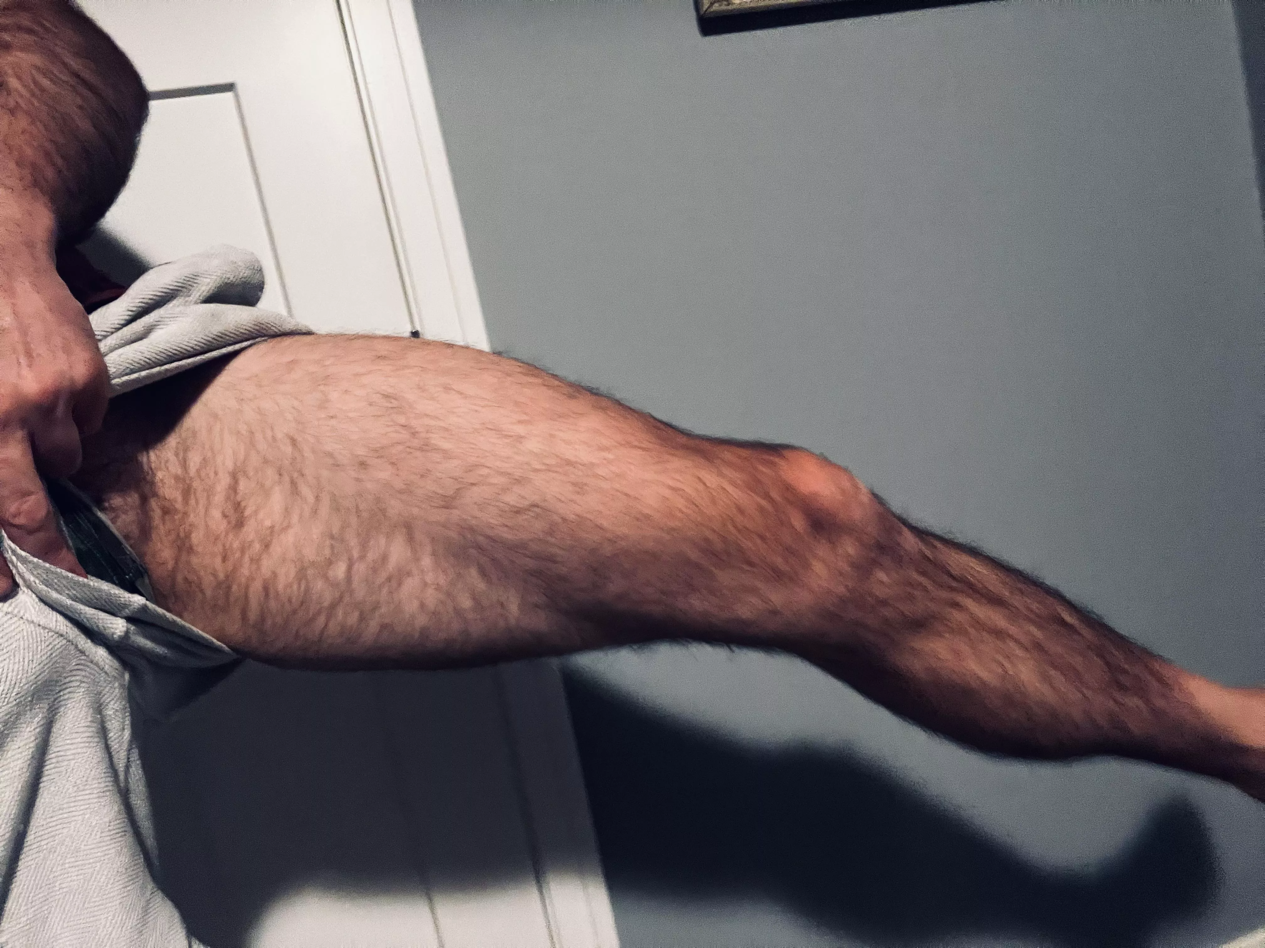 How about a hairy leg? posted by Muscle_Gut