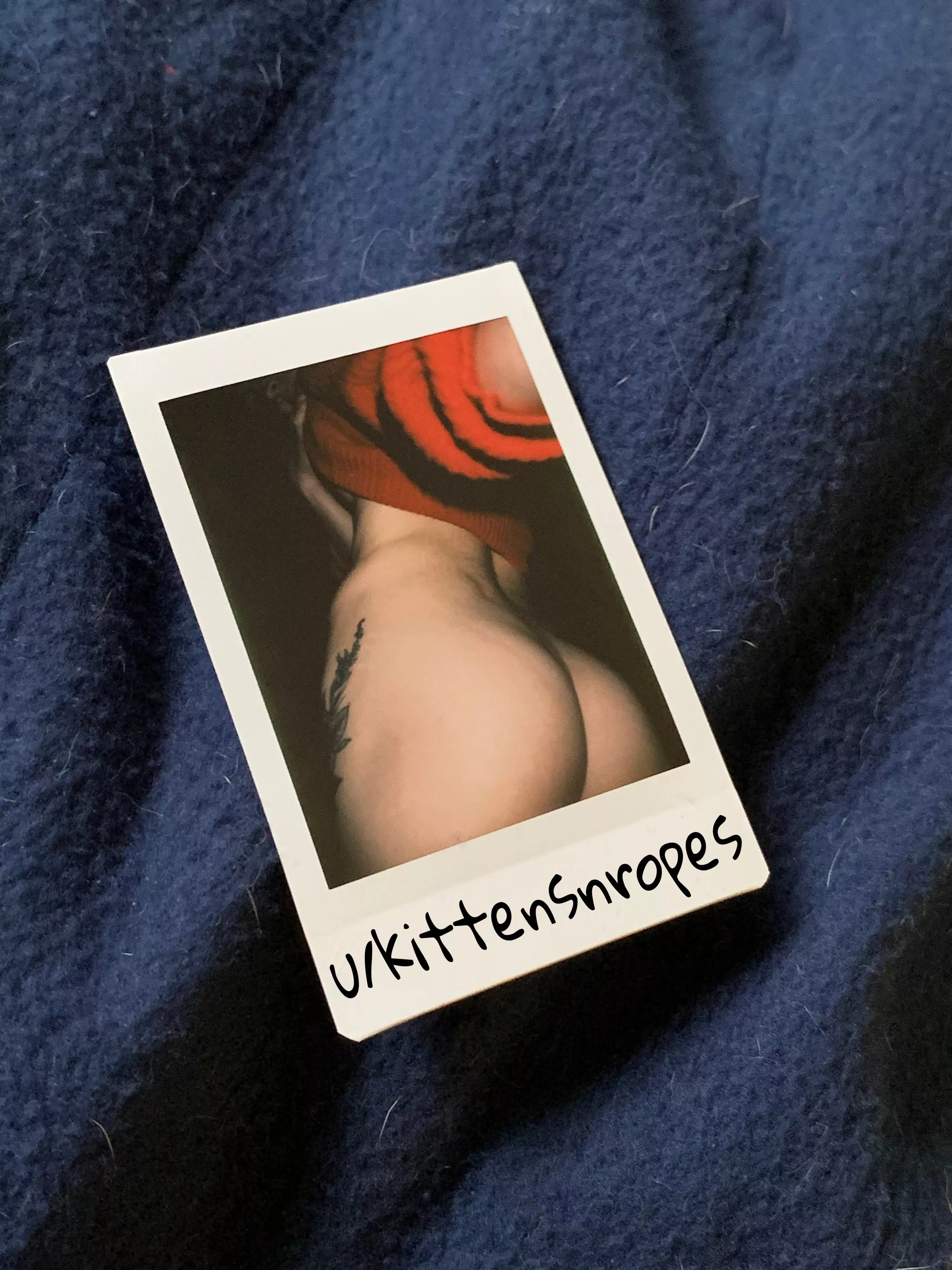 How about a polaroid of my ass to carry in your wallet? posted by kittensnropes