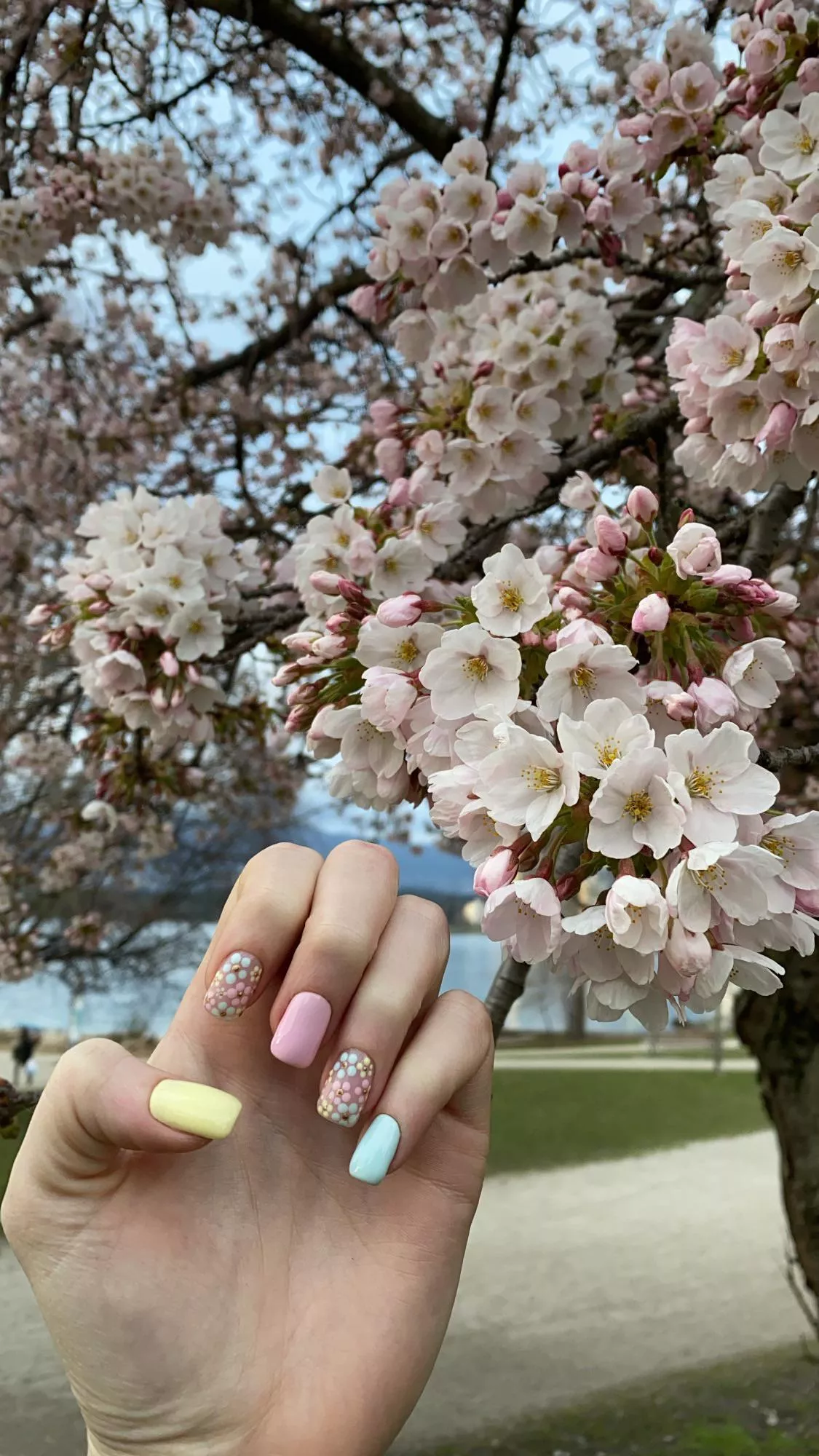 How cute were my Spring nails? 🥰🌸 posted by Christina696xo