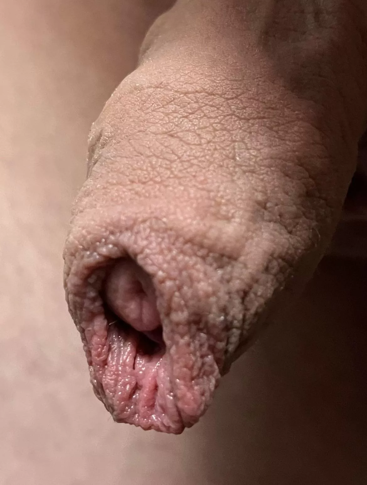 How do you like my foreskin in 4K? posted by AverDD