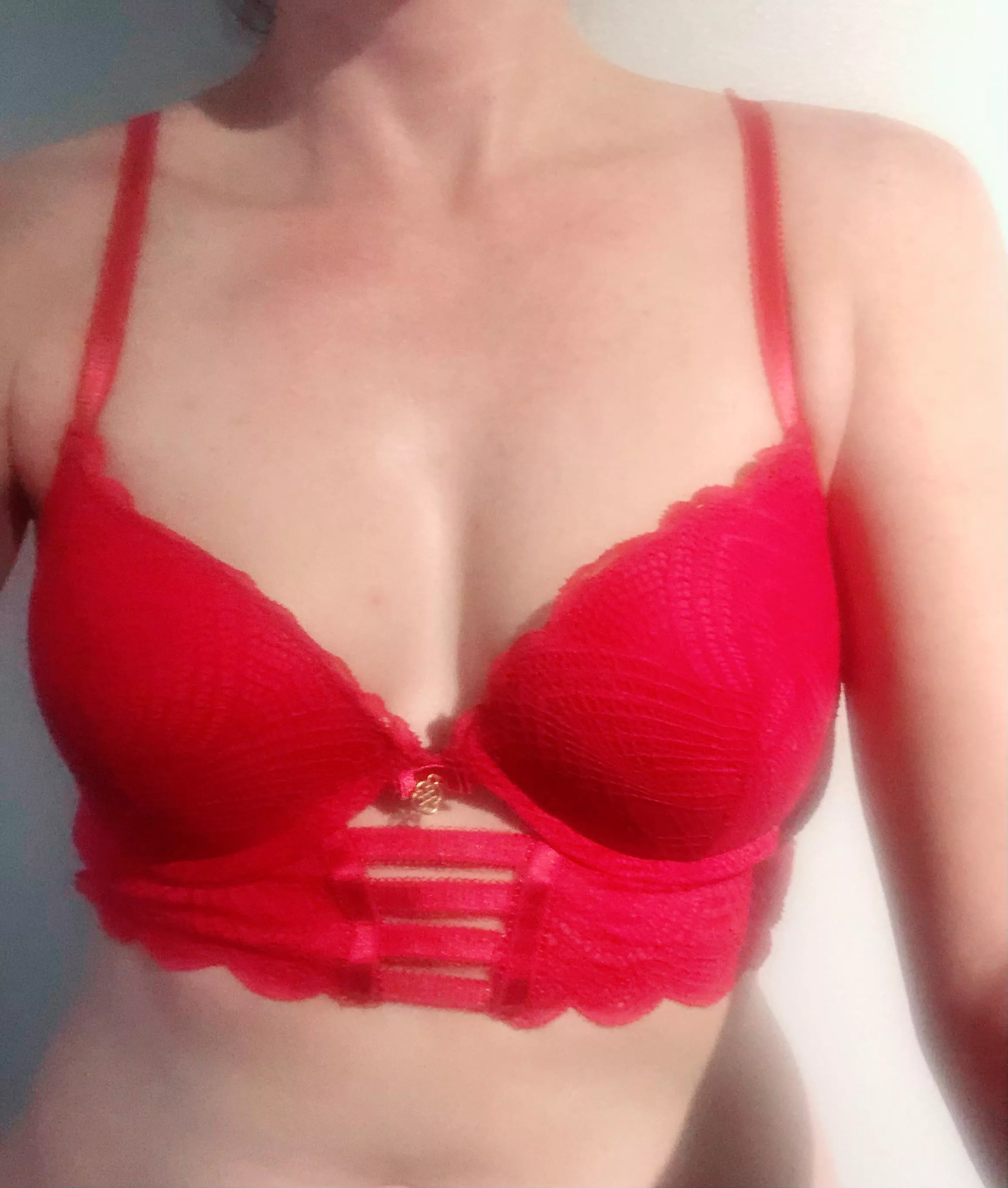 How do you like my new bra? posted by Midwestcutie312