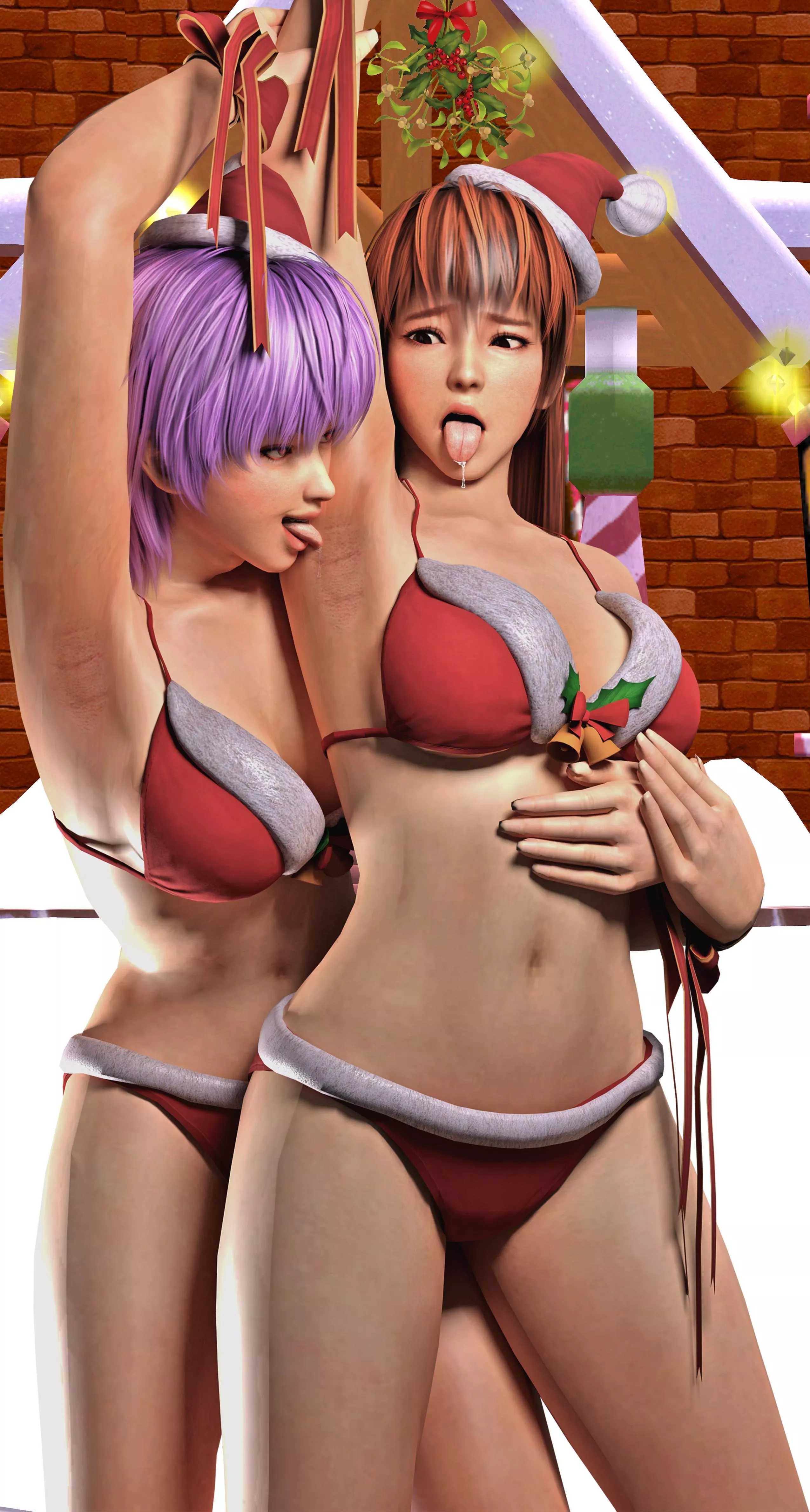 How Kasumi and Ayane Celebrate Every Christmas [Dead or Alive] posted by Deadpool6900