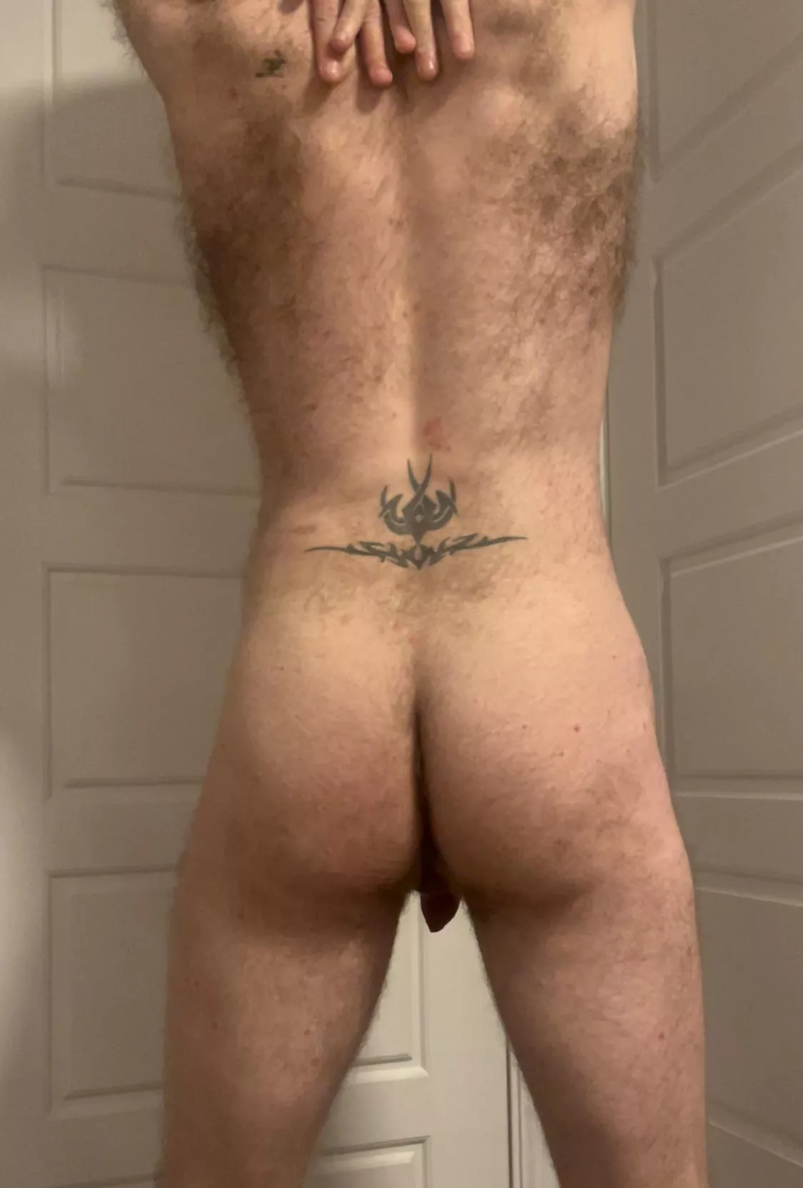 How my hairy butt look? posted by gbrad1983