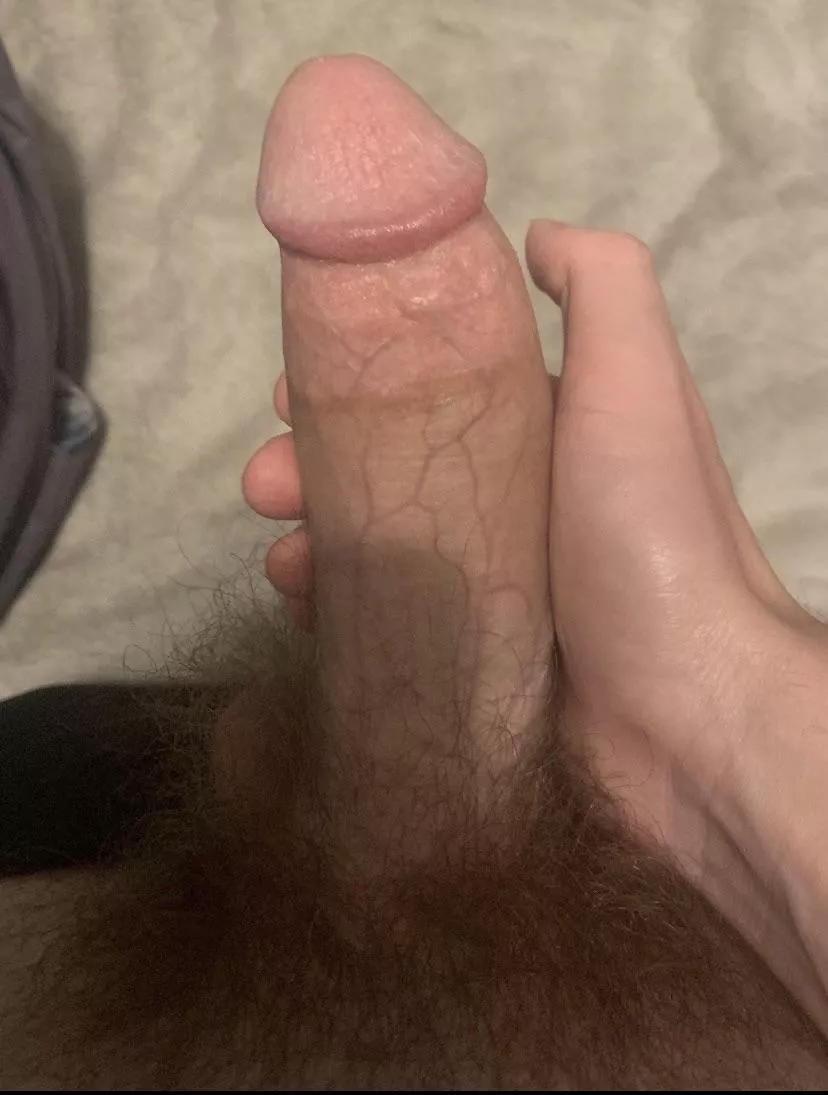 How’s my bush? Never shaved it! posted by Blue_ghost2