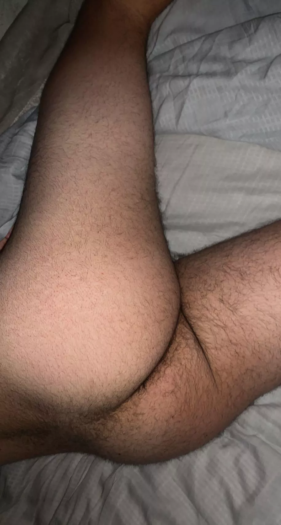 How’s my hairy ass looking?? posted by Prize-Remarkable