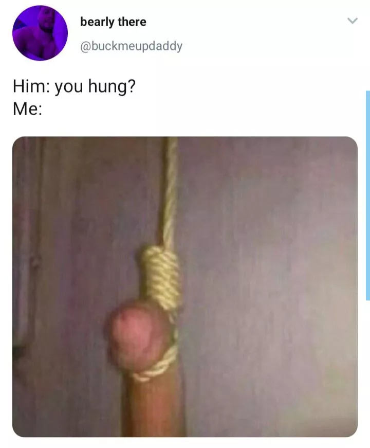 Hung? posted by jmanisweird