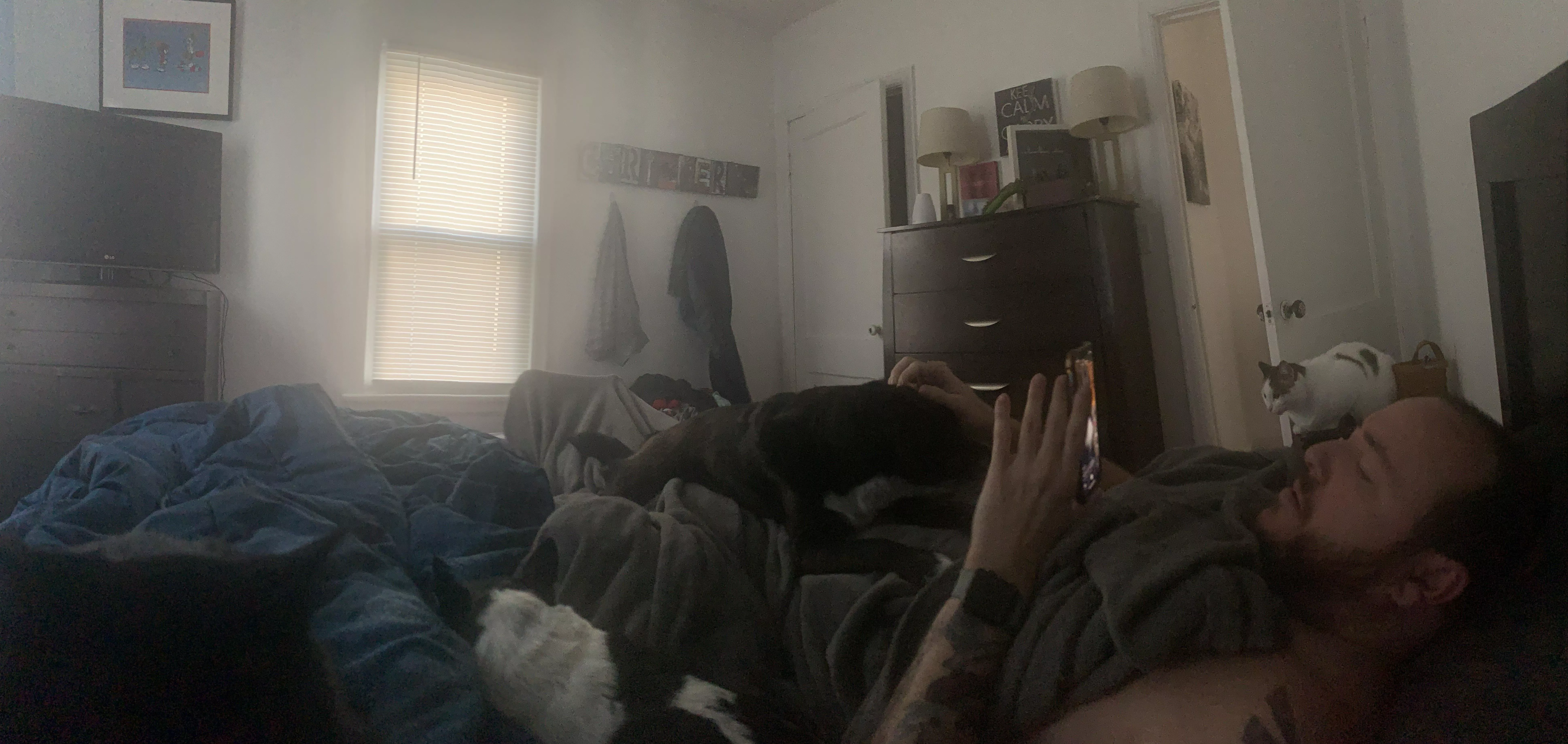 Husband and all of the animals chilling on Saturday morning. All my favorite boys. posted by squirrelsaver00