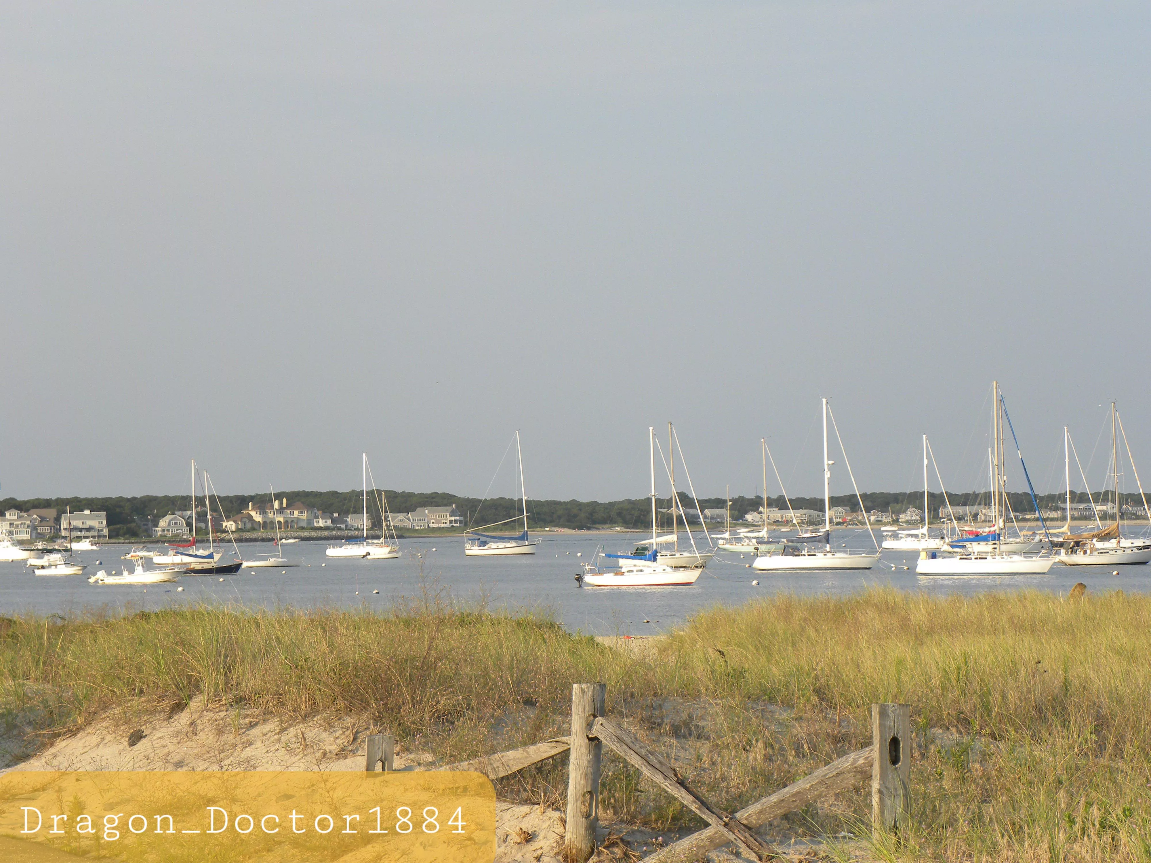 Hyannis Harbor, MA posted by Dragon_Doctor1884