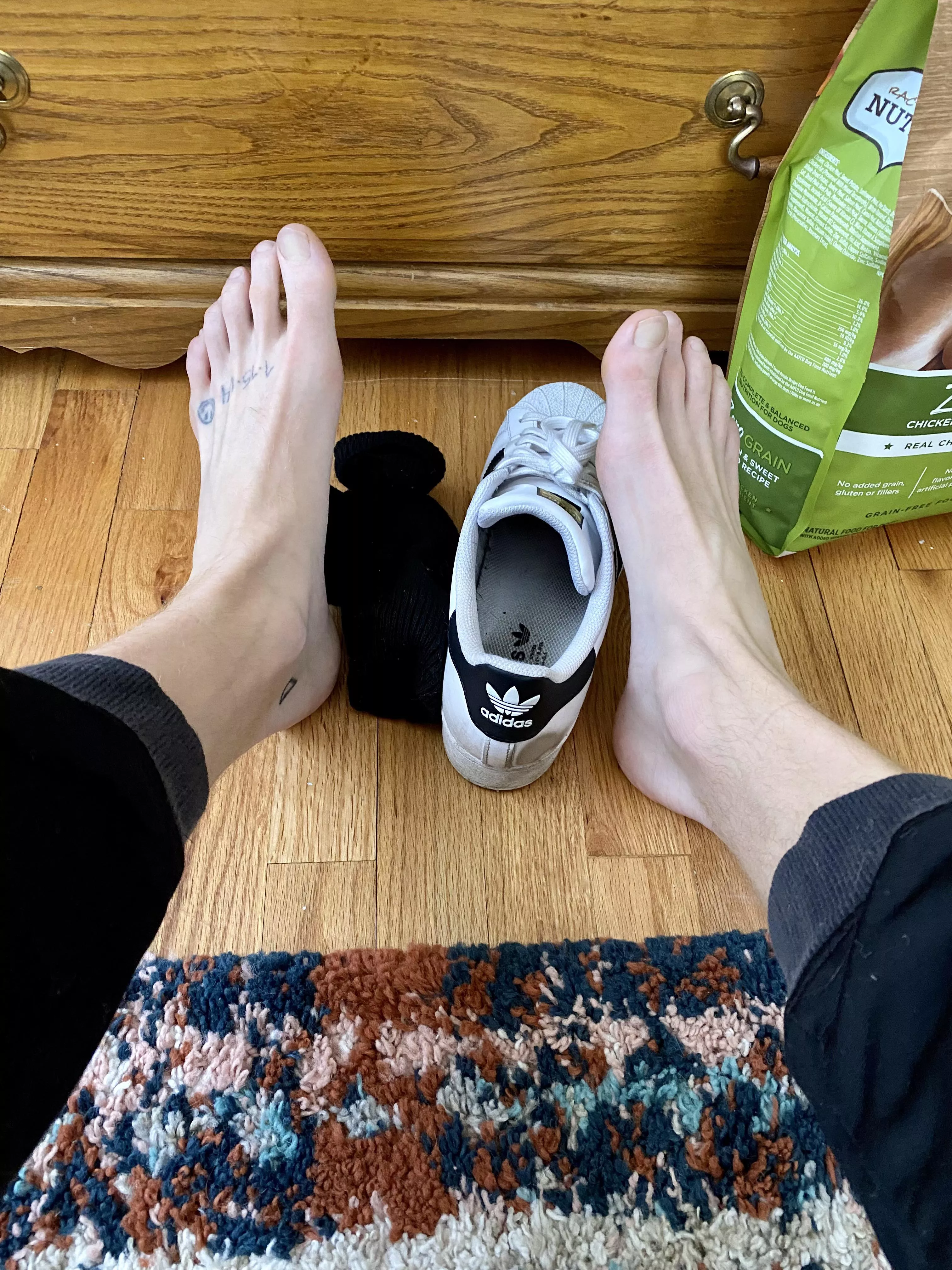 I can’t find my other shoe. Are you off sniffing it somewhere? posted by BlondeBoyFoot