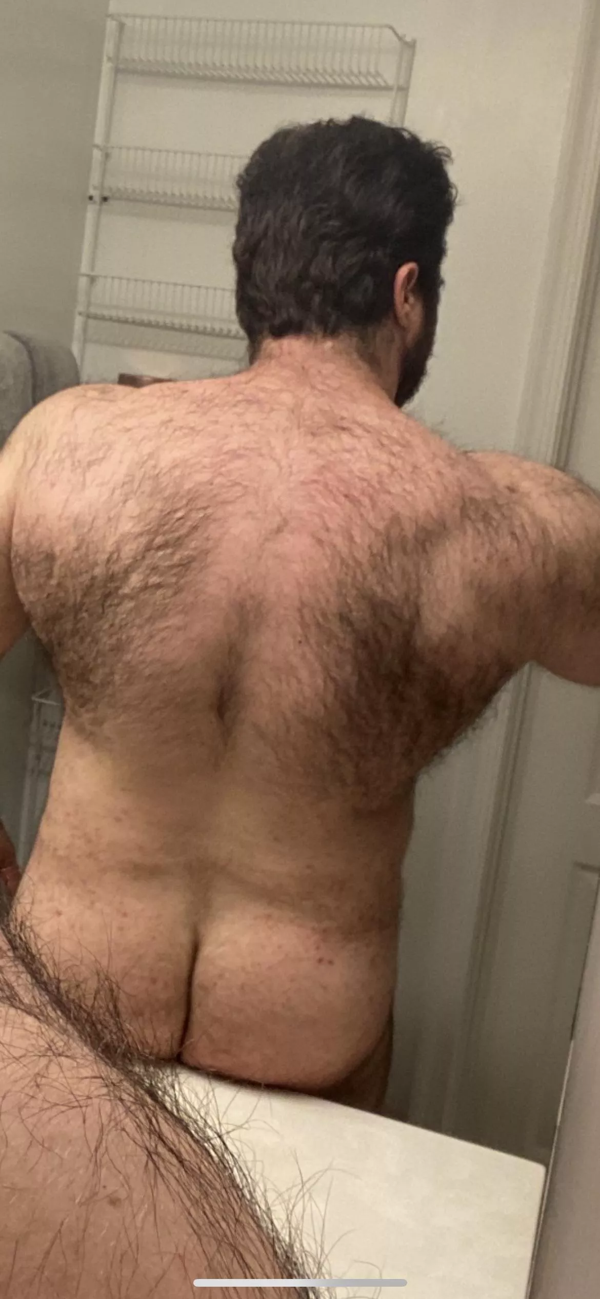 I could use a back rub posted by jewbearboy