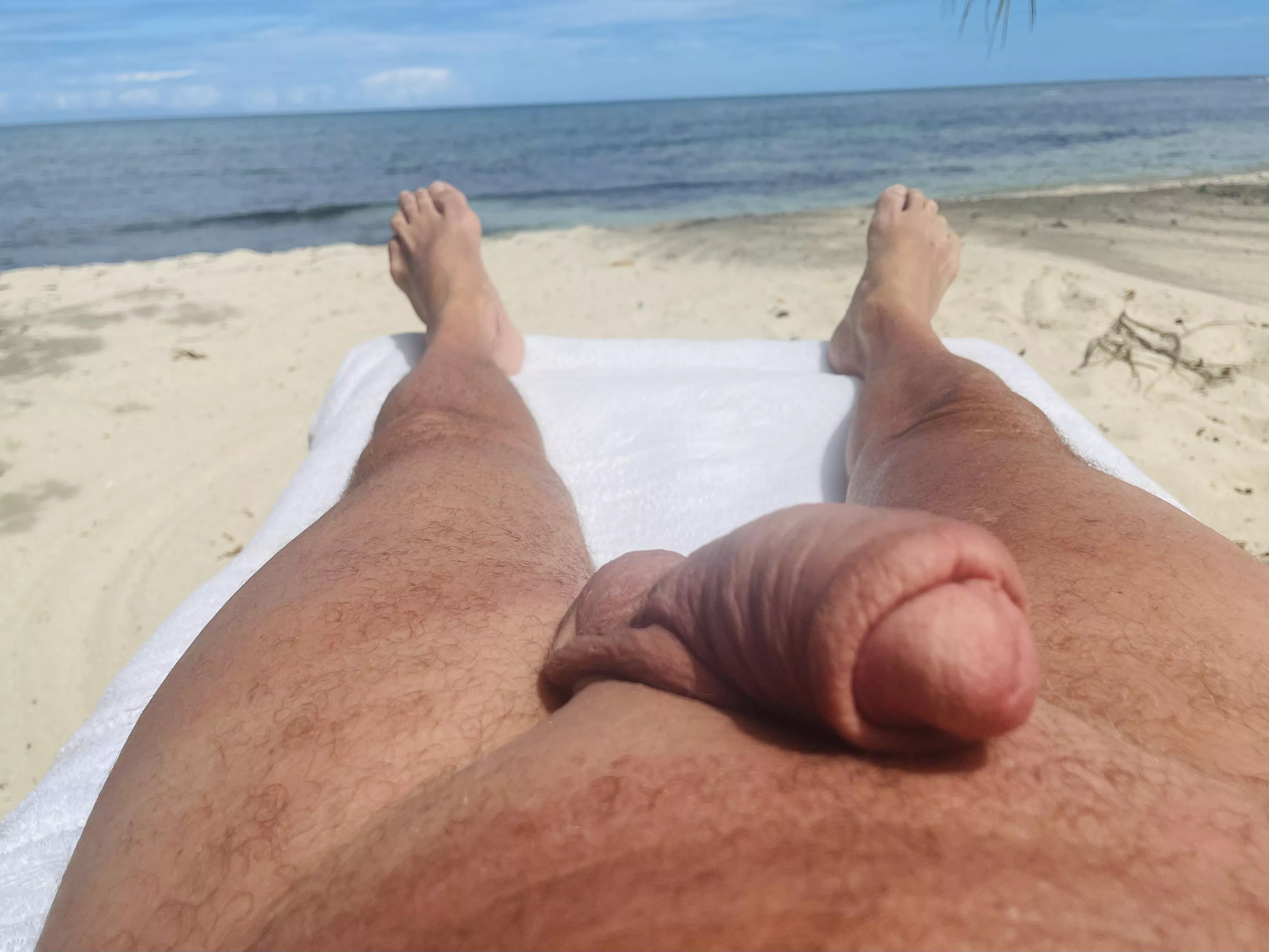 I do love [m]e some Montego Bay in February. posted by are_we_there_now