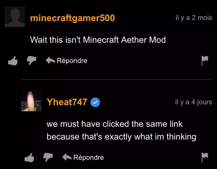 I dont think this is minecraft aether mod posted by JournalistAble2292