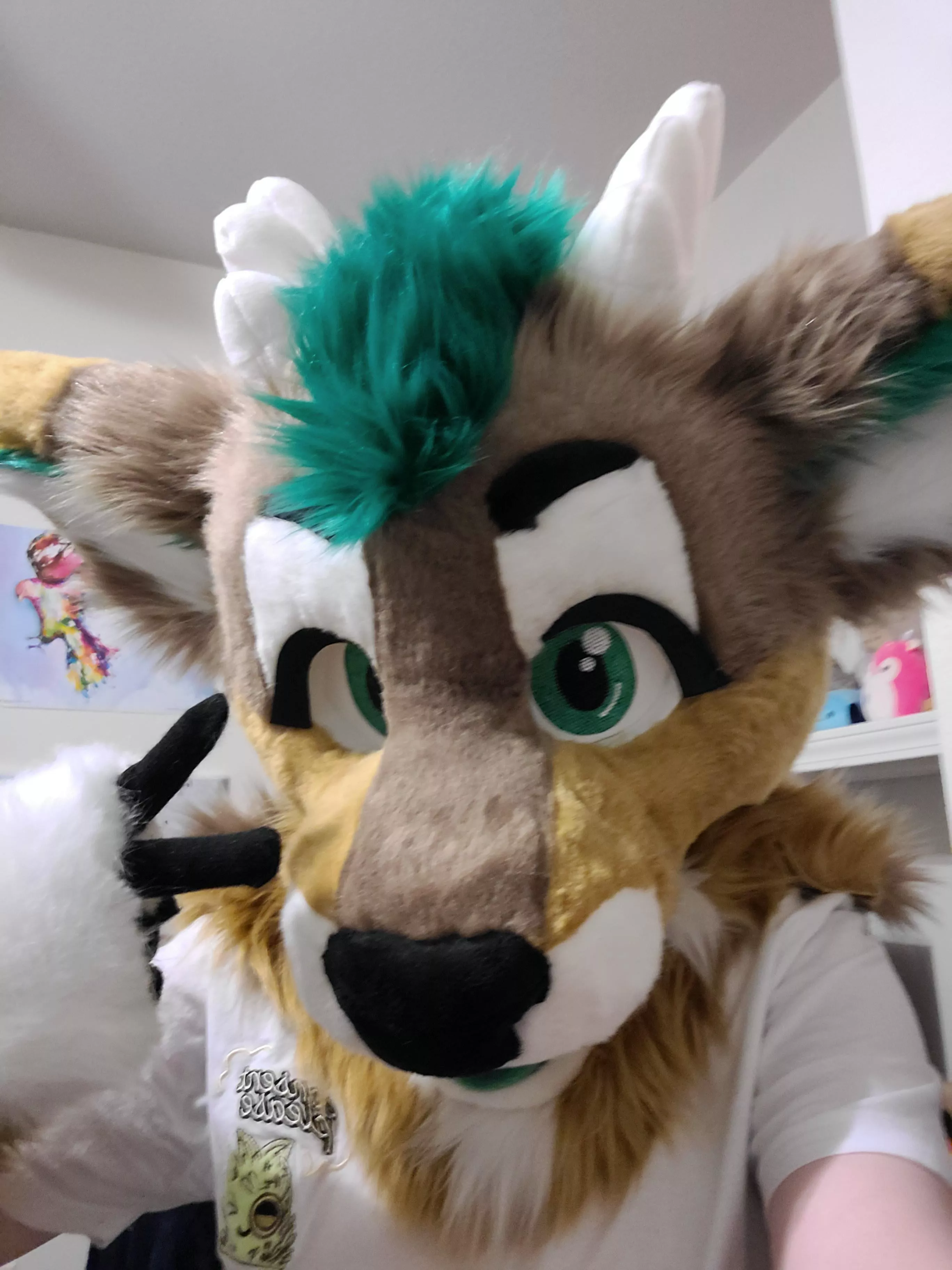 I forgot Fursuit Friday but I still want to show off my new boy Moss! Maker is @coycraftstudios :) posted by PepperFoxx