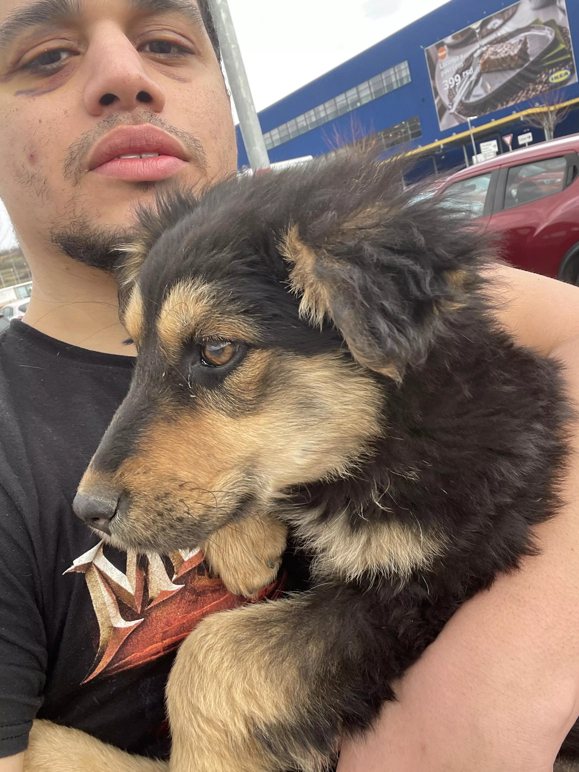 I found a lost puppy that my little and I will care for ðŸ¥° posted by Lolitas-Adore-Me