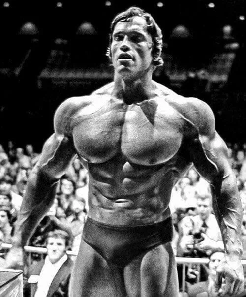 I found the model for every stacked seme in a manhwa/webtoon. Arnold Schwarzenegger—Mr Olympia, 1975 posted by sukidaiyo