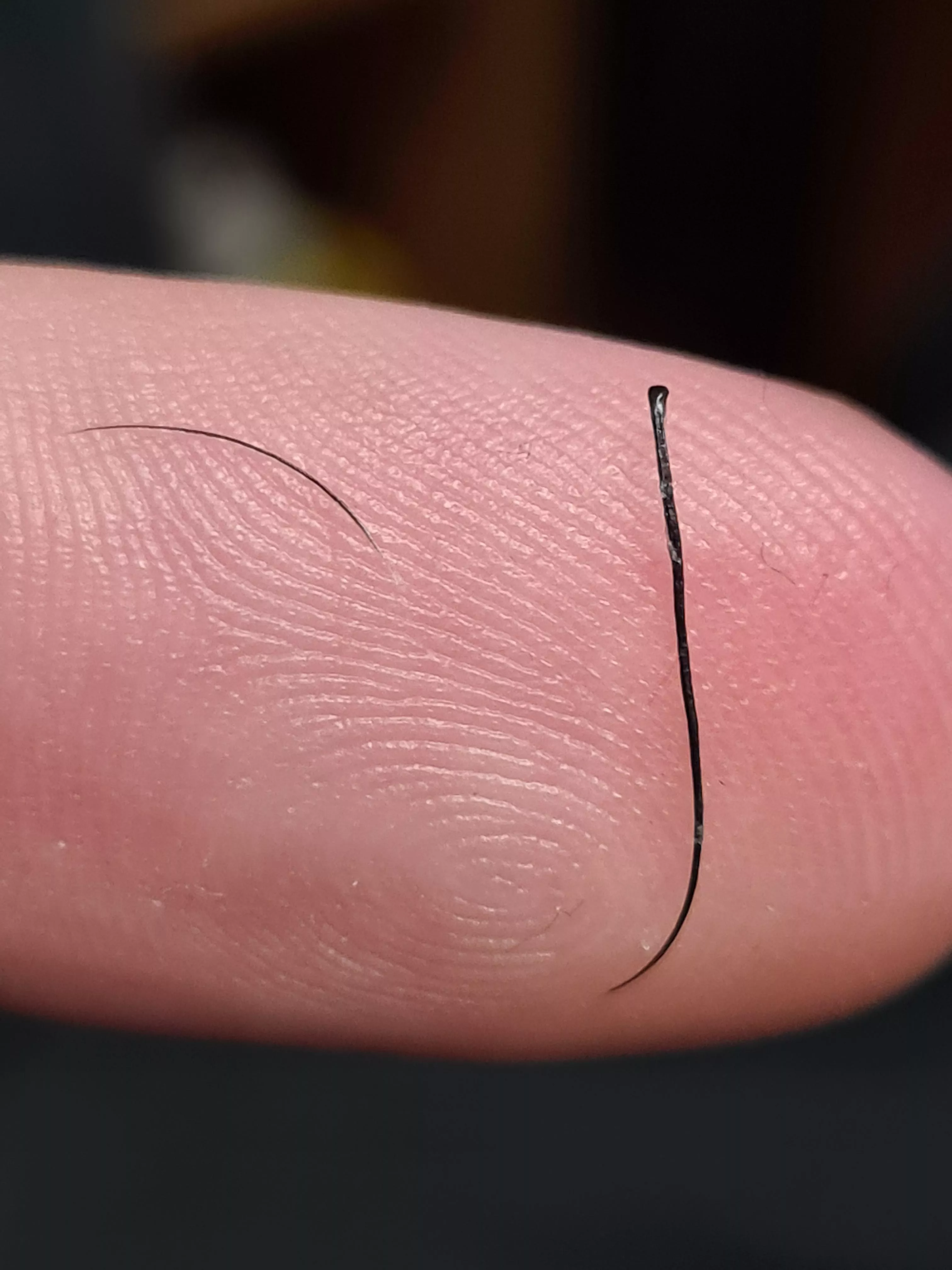 I get these in my nose from time to time and they roll up on themselves.... normal nose hair on the left for comparison posted by aJapaneseGuy