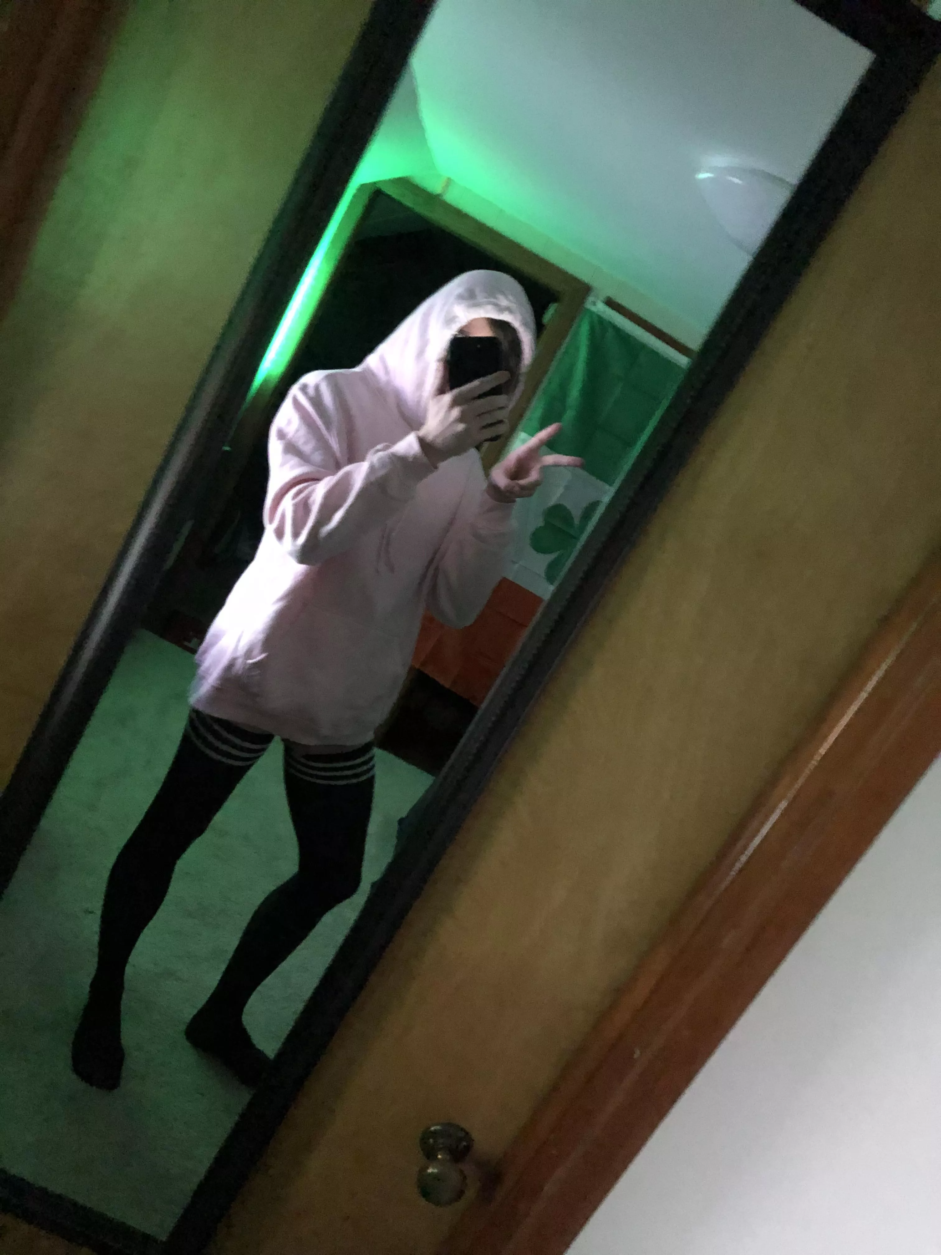 I got my mom to buy me this sweatshirt… she doesn’t know about the thigh highs tho posted by Foxxy126