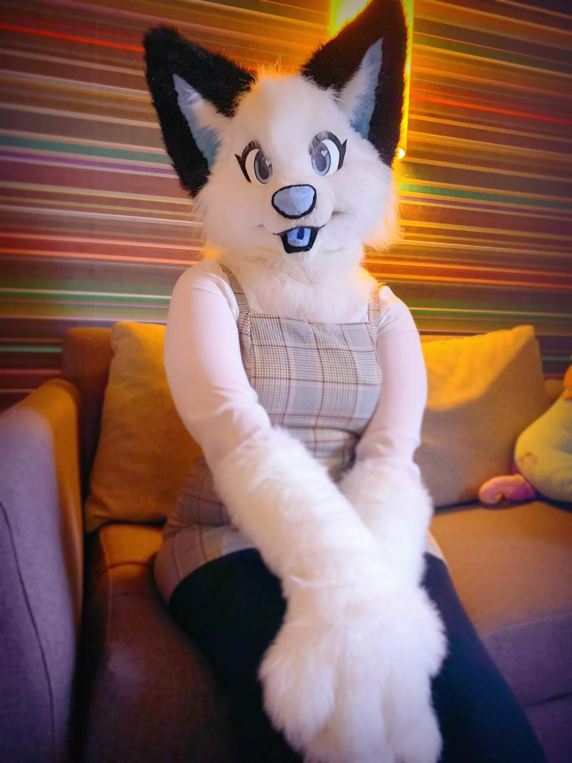 I got my new fursuit Nevada today, what accessories should I get her? posted by HimeGriffin