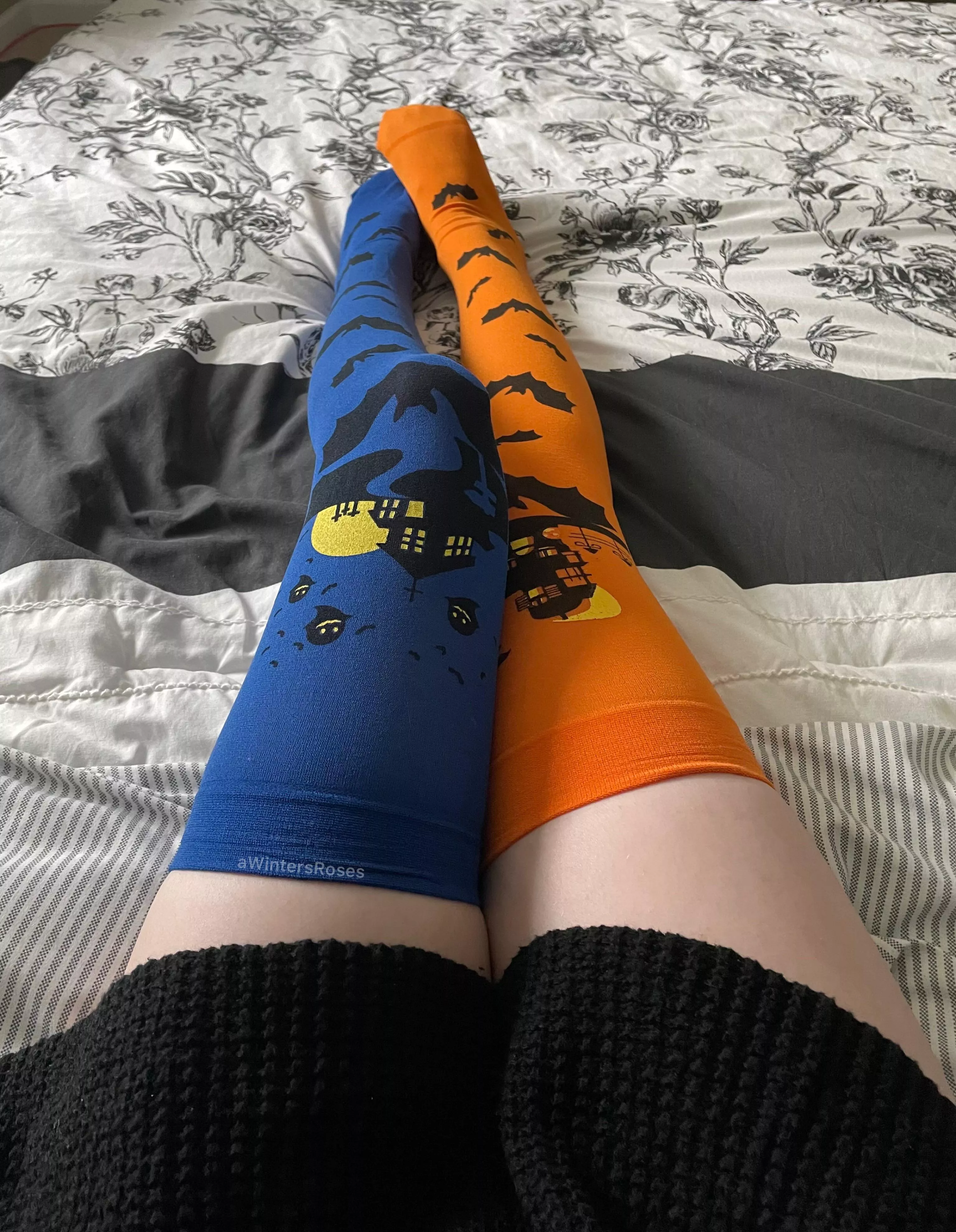 I GOT THE SPOOKY SOCKS FOR THE SPOOKY SEASON😎🎃 posted by awintersroses