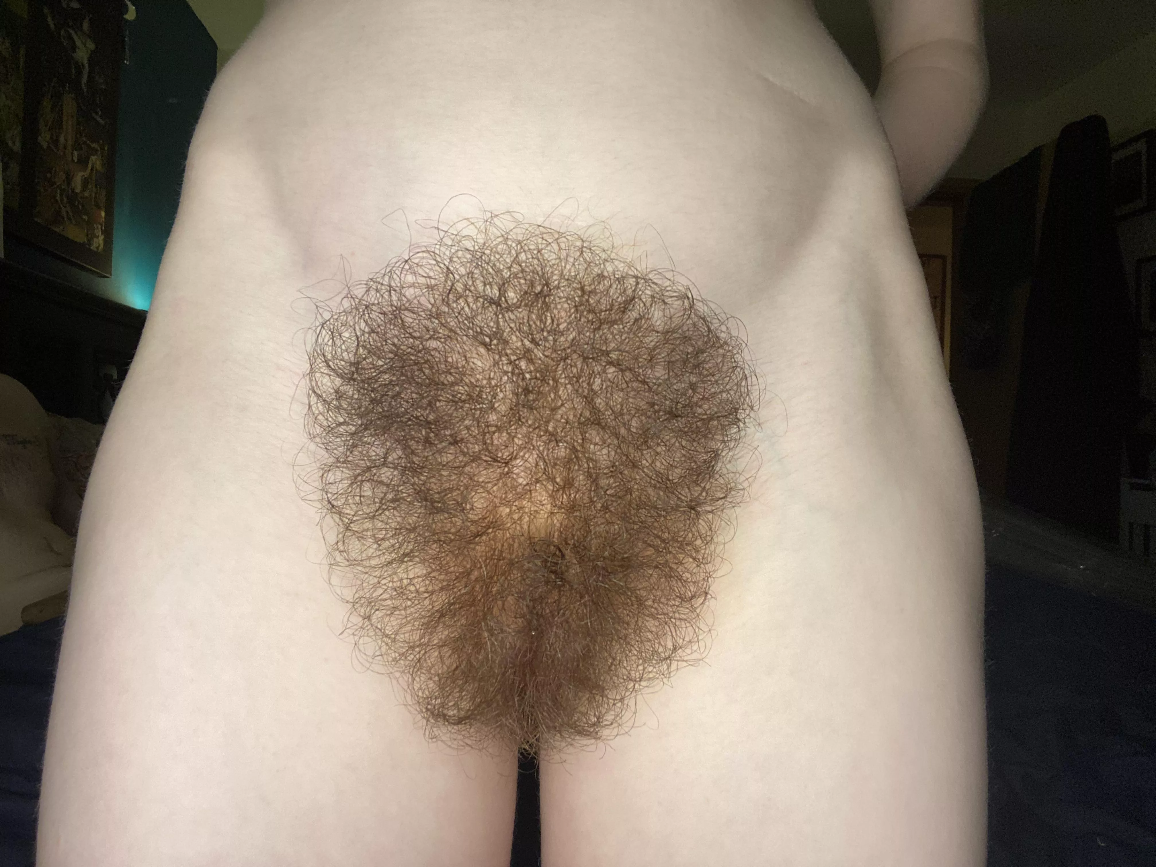 I have a hairy pussy fetish that I am living out… do you have one too? 🌳 posted by Many-Aioli688