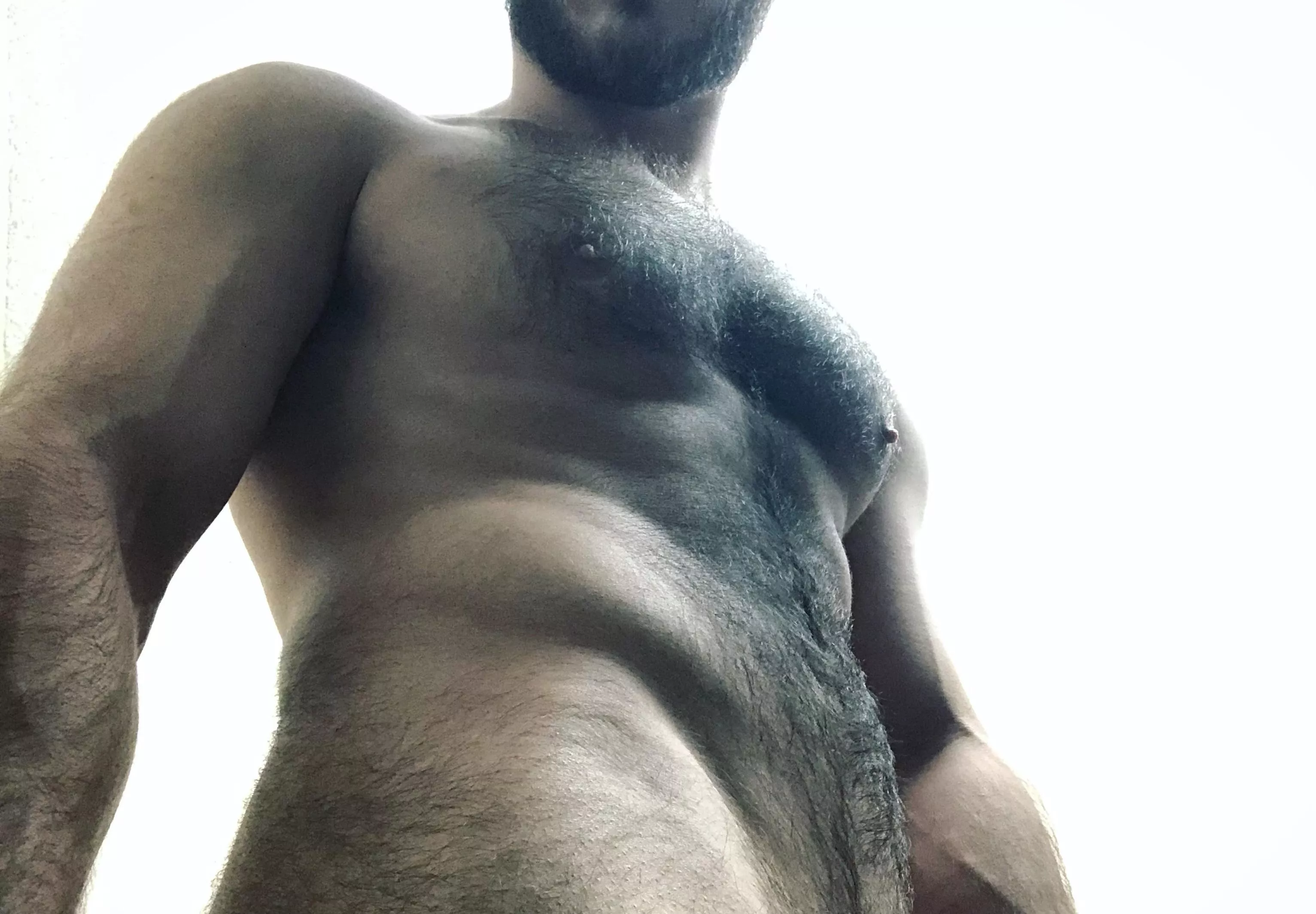 I heard you guys like hairy men😈 posted by TristanMoreau