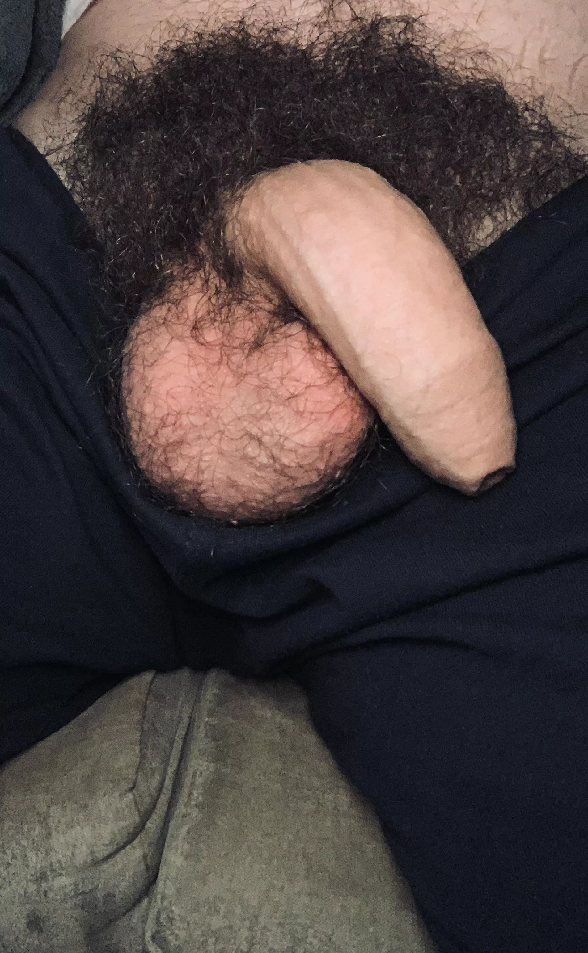 I heard you like hairy! Lick me Dm posted by tokio6969