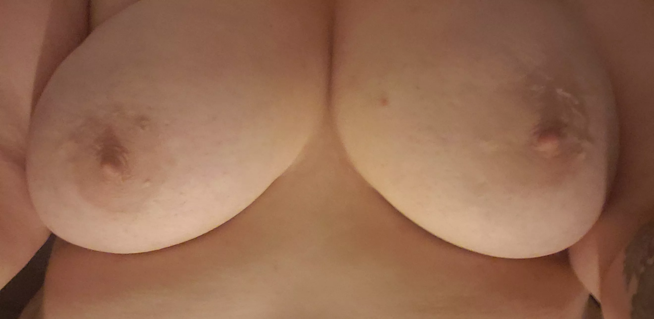 I hope you like my fat udders posted by little_pigslut