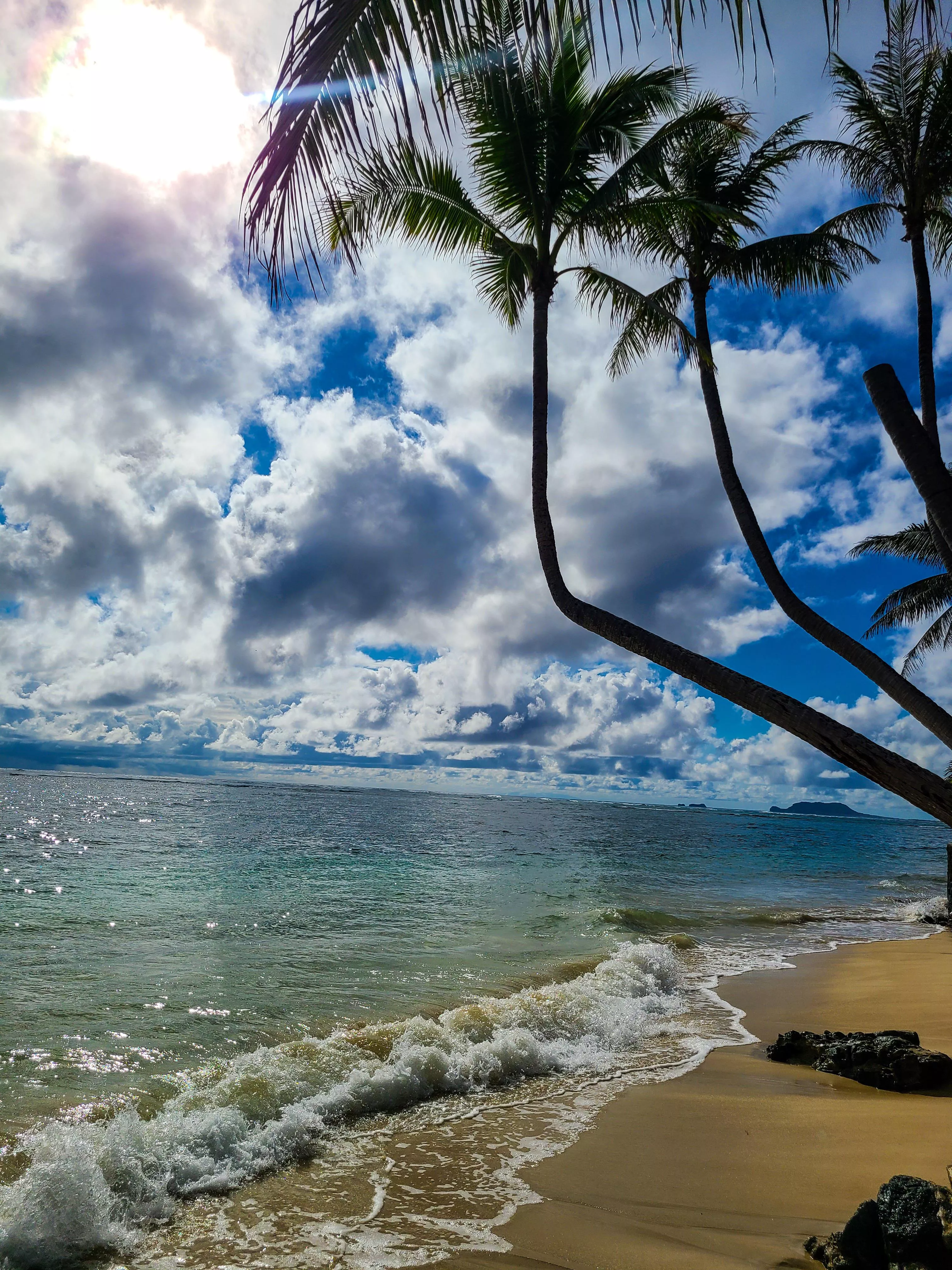 I live in Hawaii. I go to the beach everyday and just thought I would share a photo. posted by letthemeatcake777