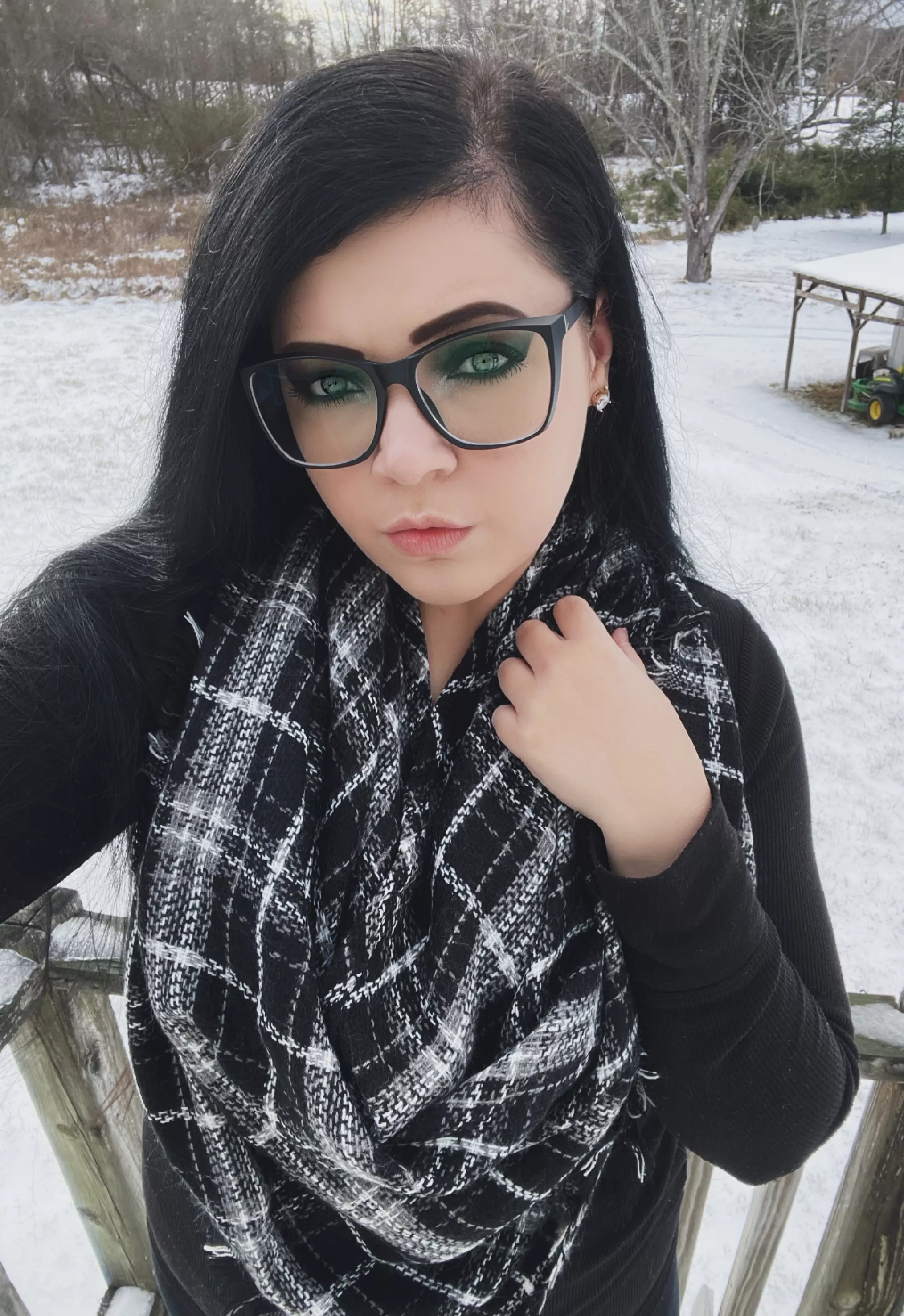 I love how quiet it gets when it snows posted by PrincessGothicBean