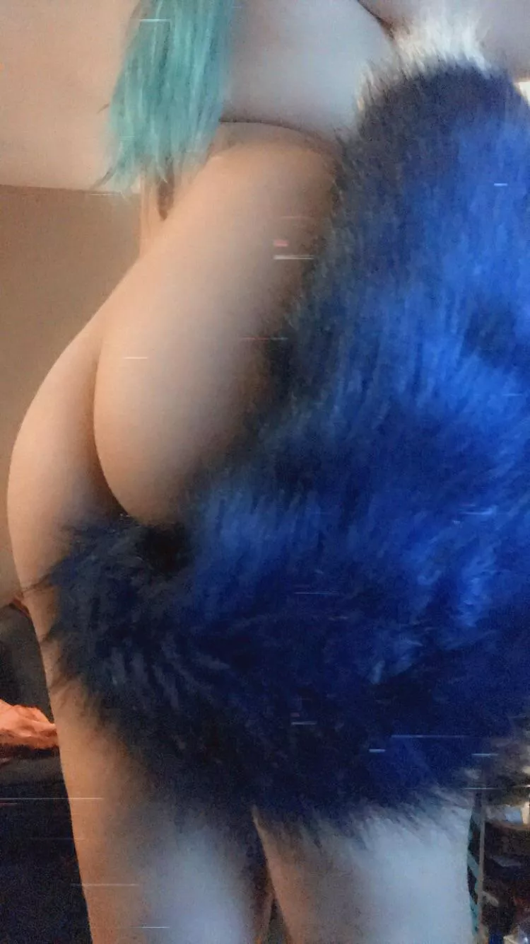 I love my ass stuffed with a fluffy tail plug 😈 posted by marlomoore069