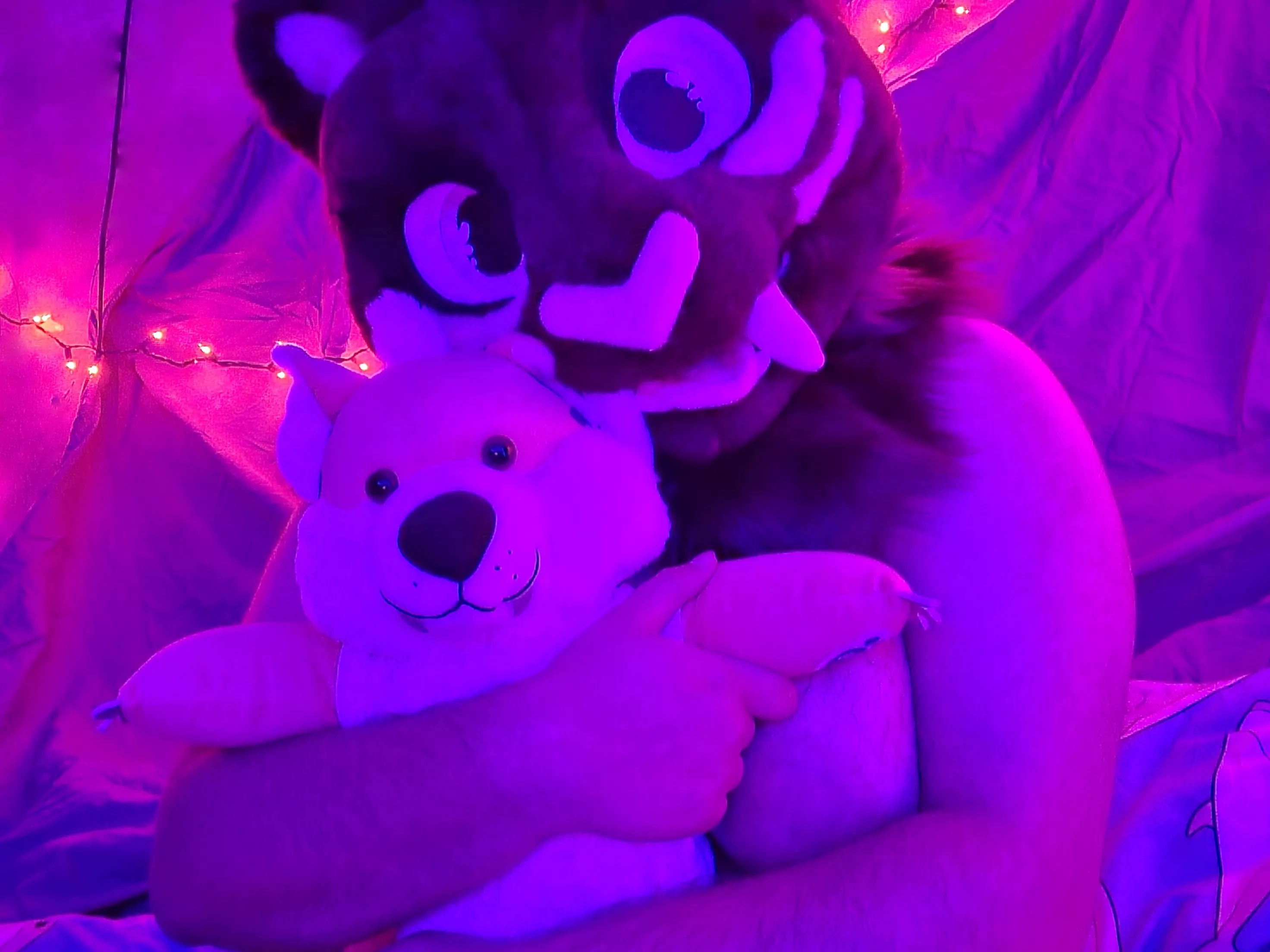 I love my mini saber stuffie posted by cautious-sabercat