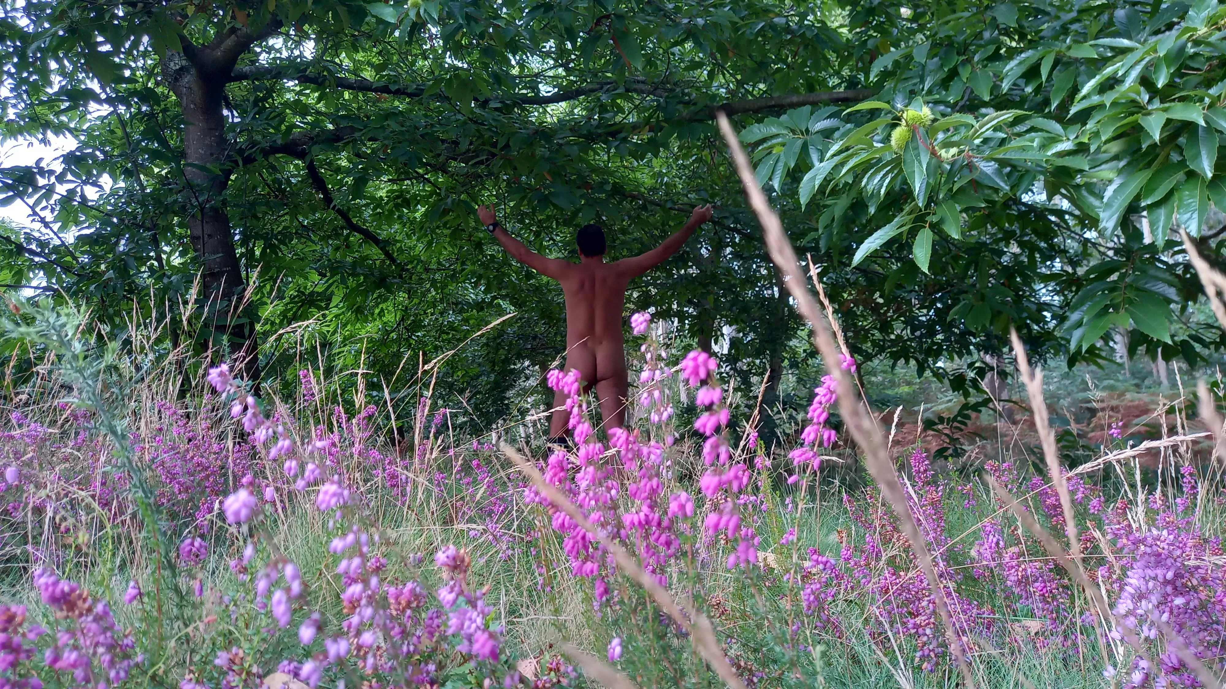 I love NUDE in NATURE for this a[m]azing tings ❤🌳🌊 posted by nakedbodyworld