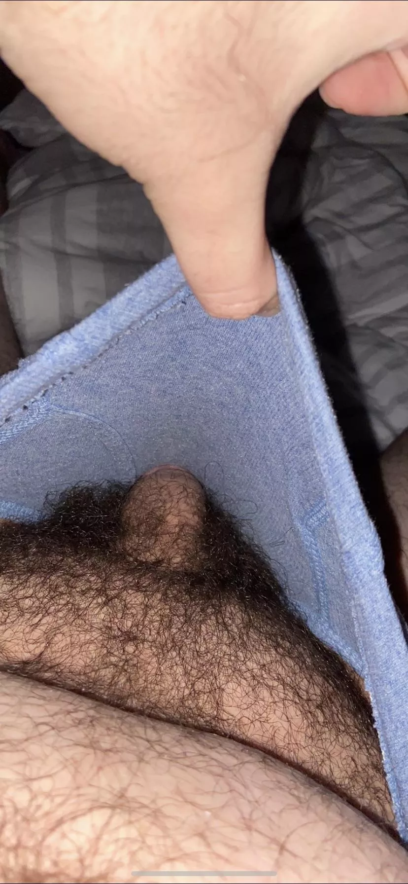 i love sweating in my briefs posted by gaynhairy123