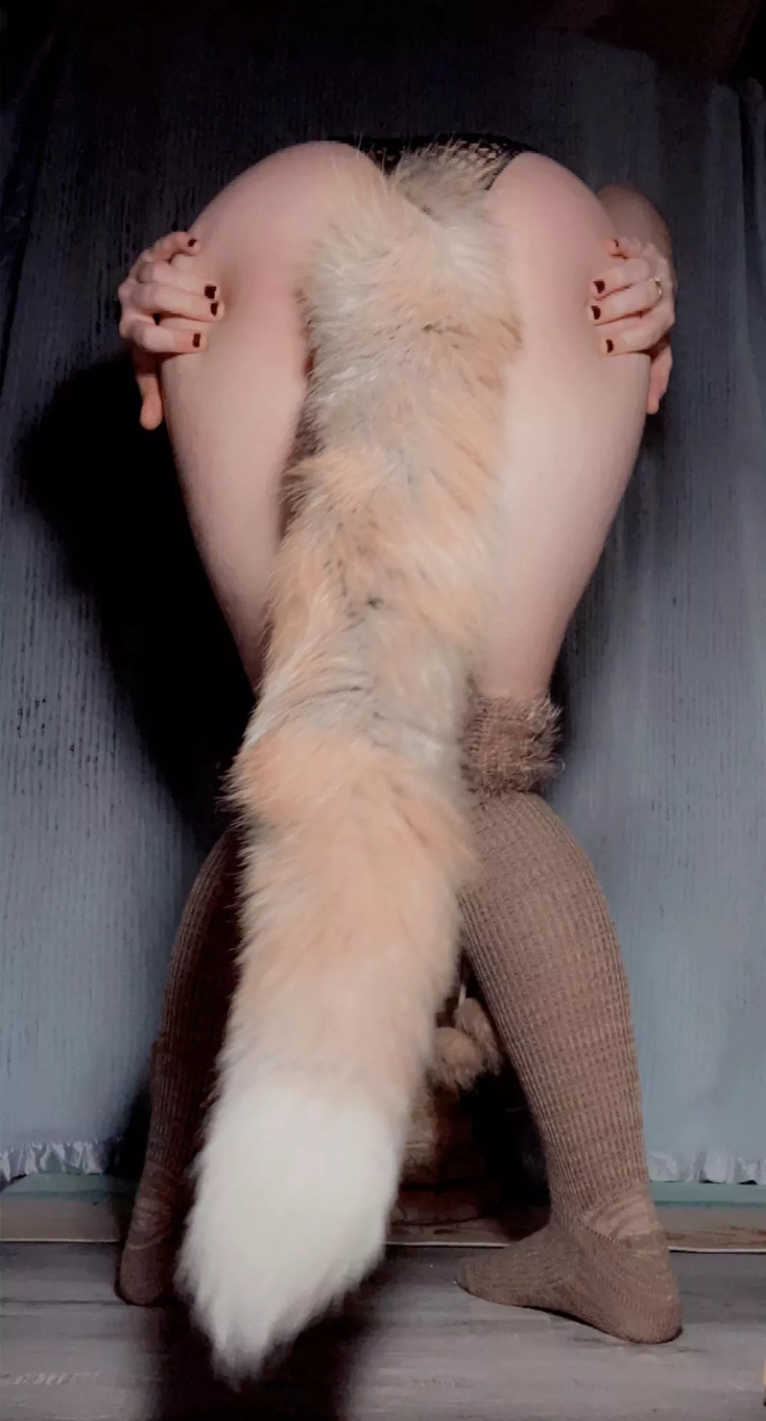 I miss being a pet 🥺 The tails so soft 💕 posted by DeLuxiousOF